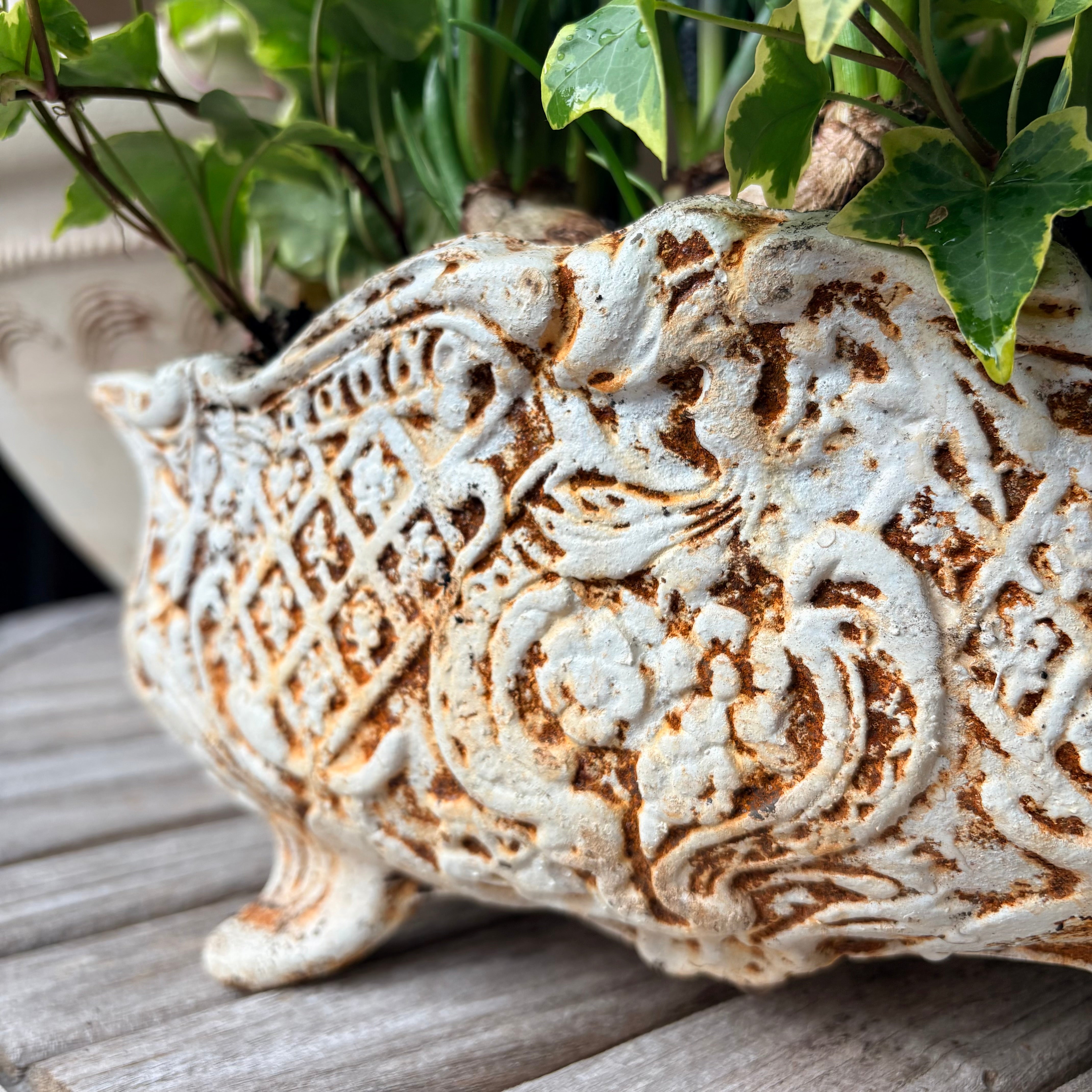 Cast Iron Jardinière