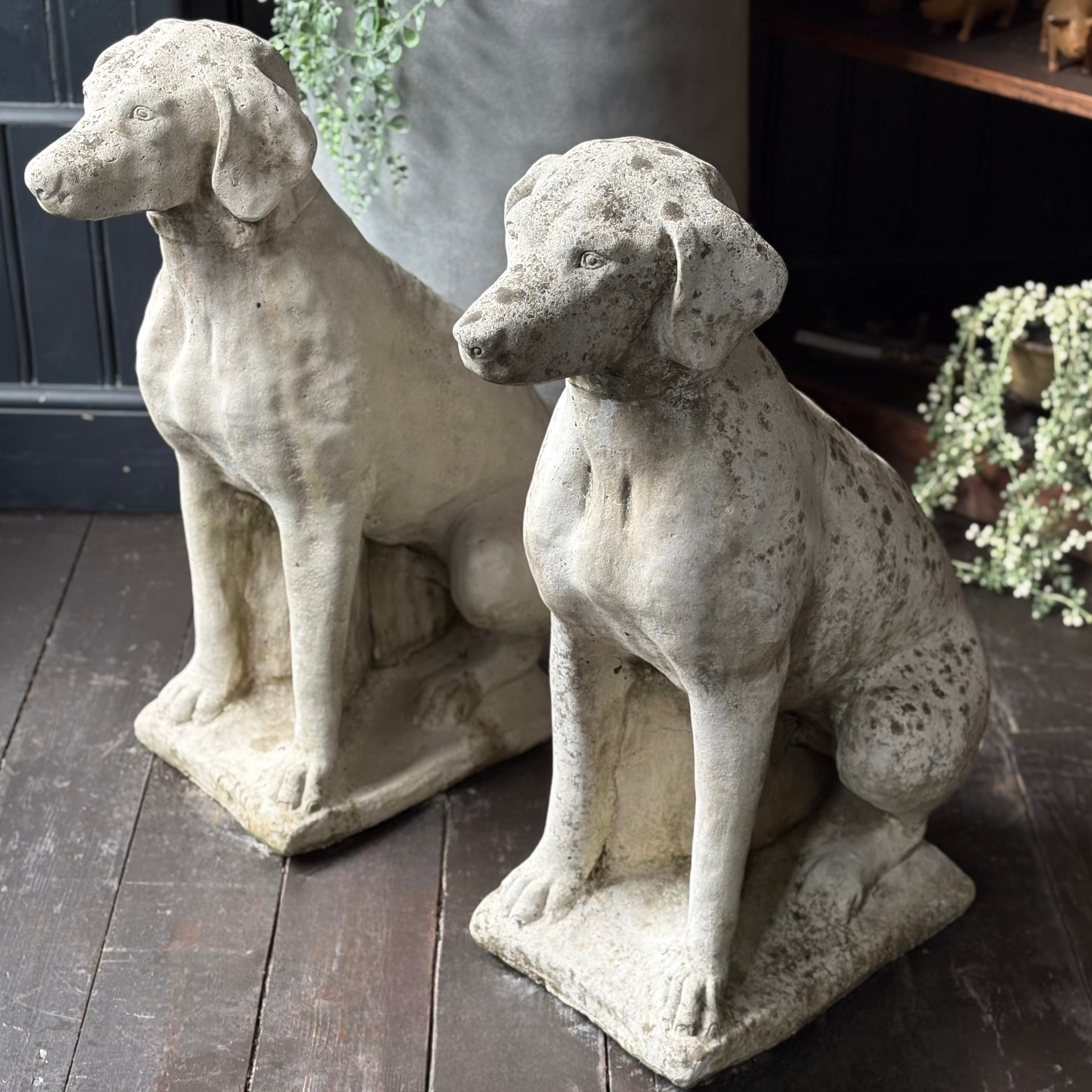 Pair of Dog Sculptures