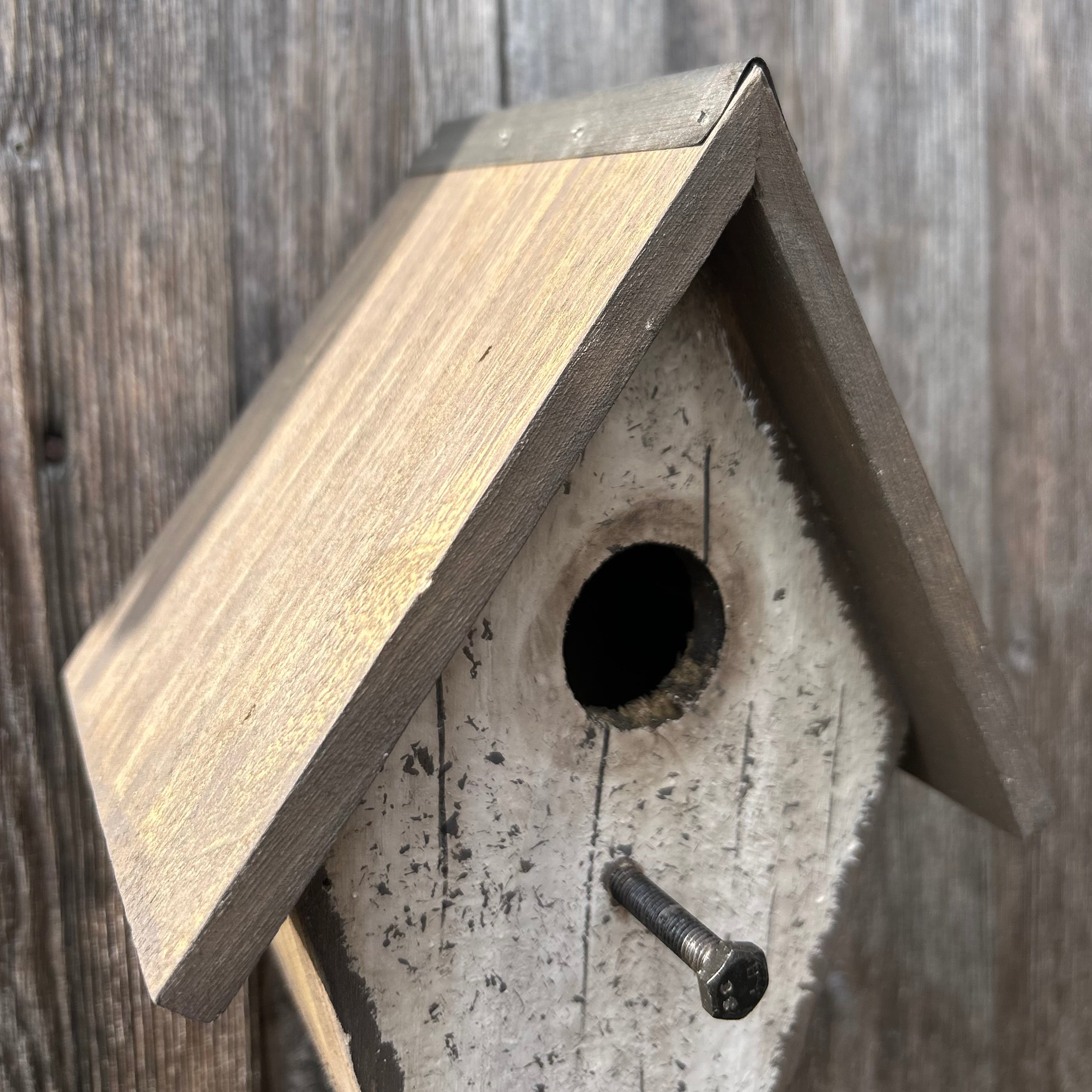 Thoreau Nest Box
