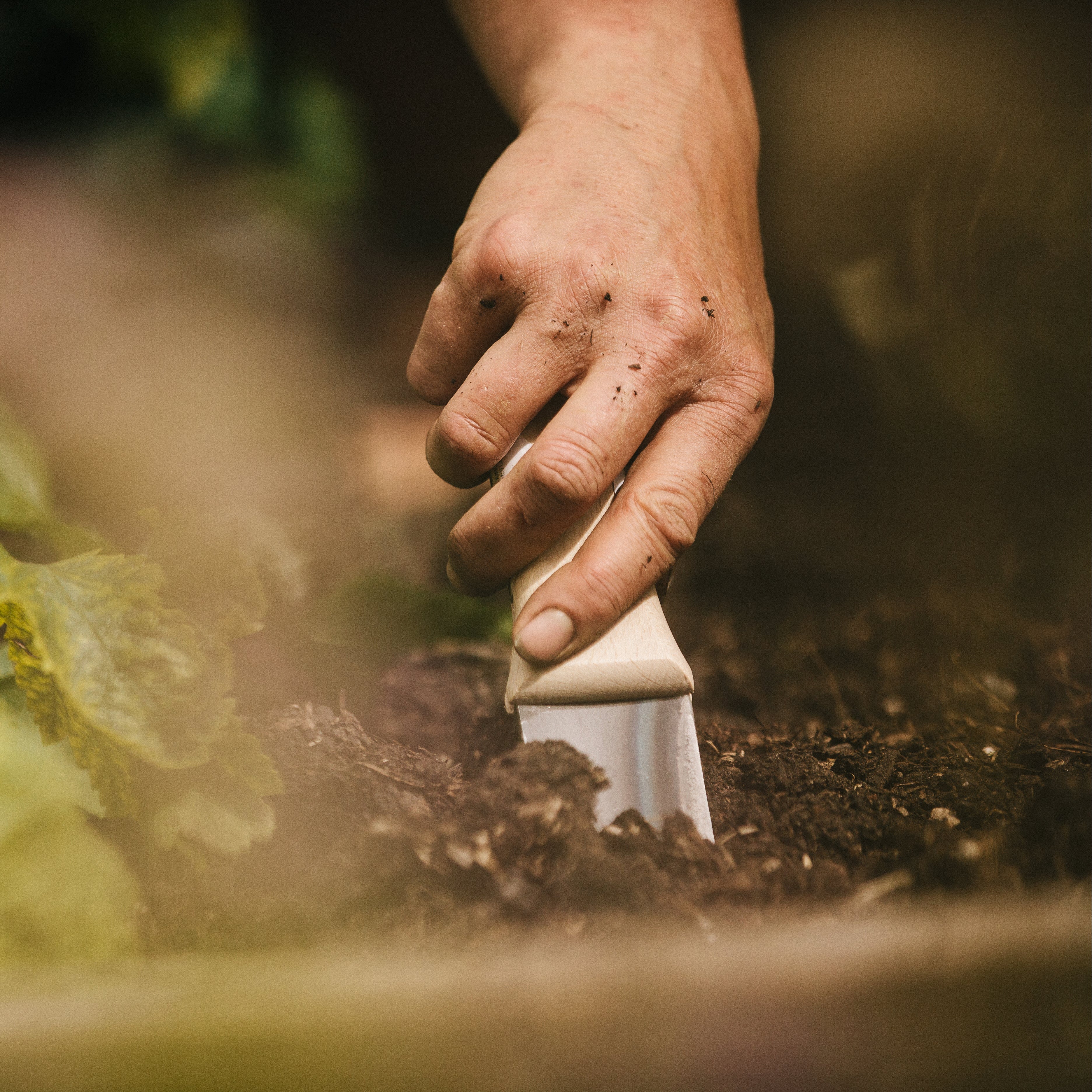 Niwaki Hori Hori Pro