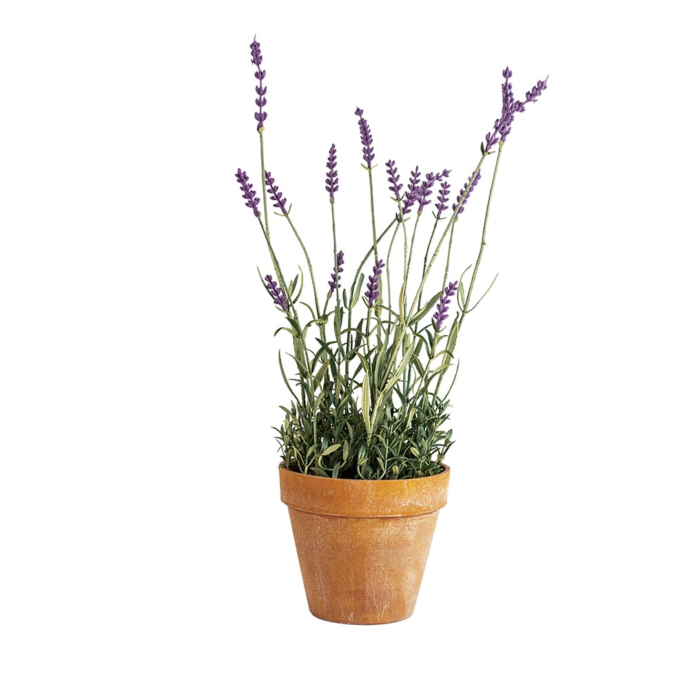 Faux English Lavender Plant