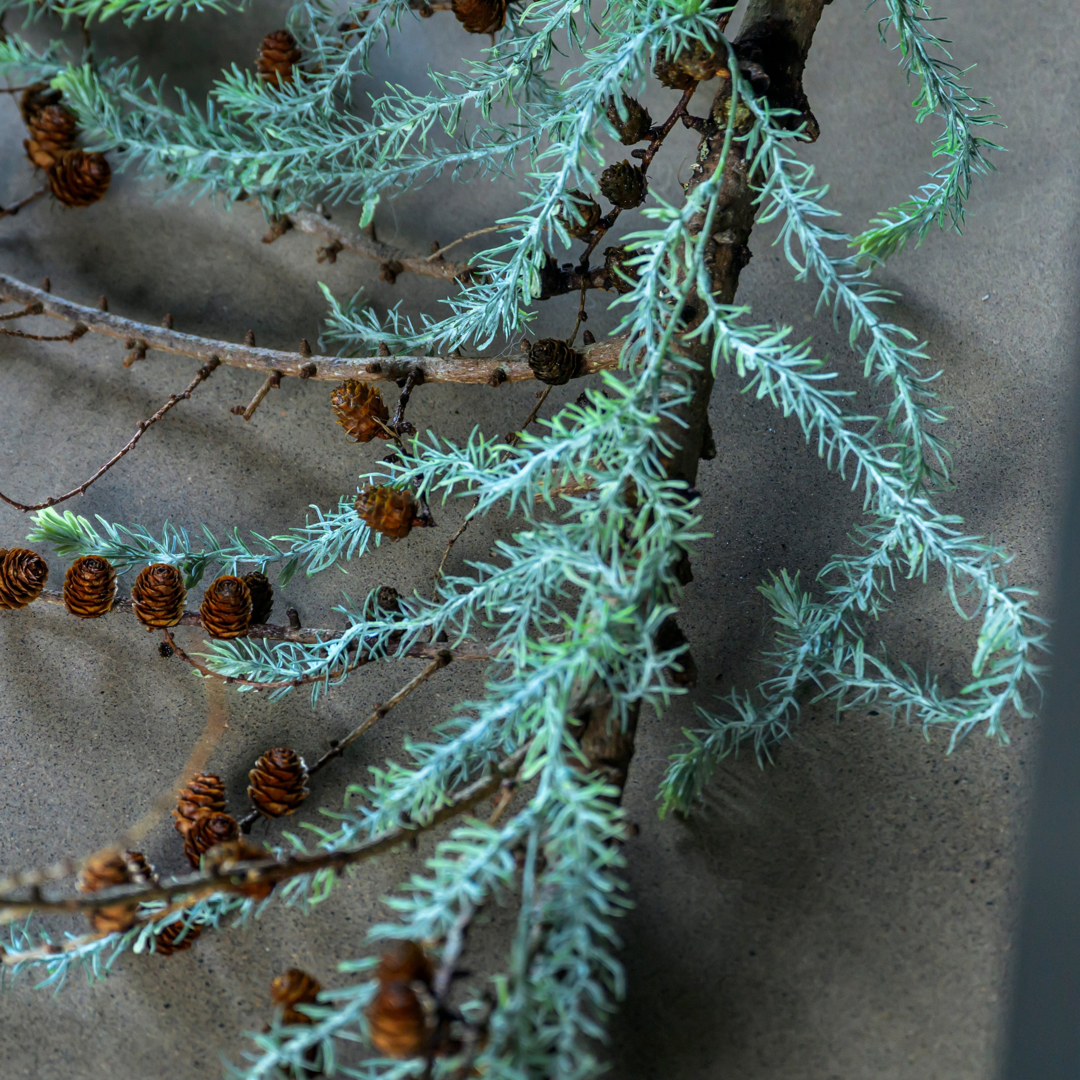 Artificial Trailing Pine