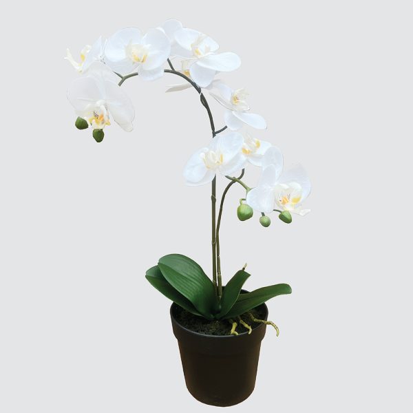 Artificial Orchid in Pot