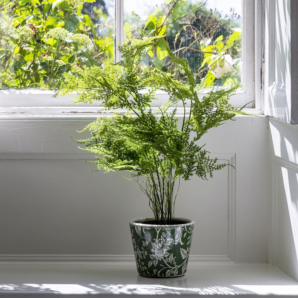 Faux Asparagus Fern in Pot