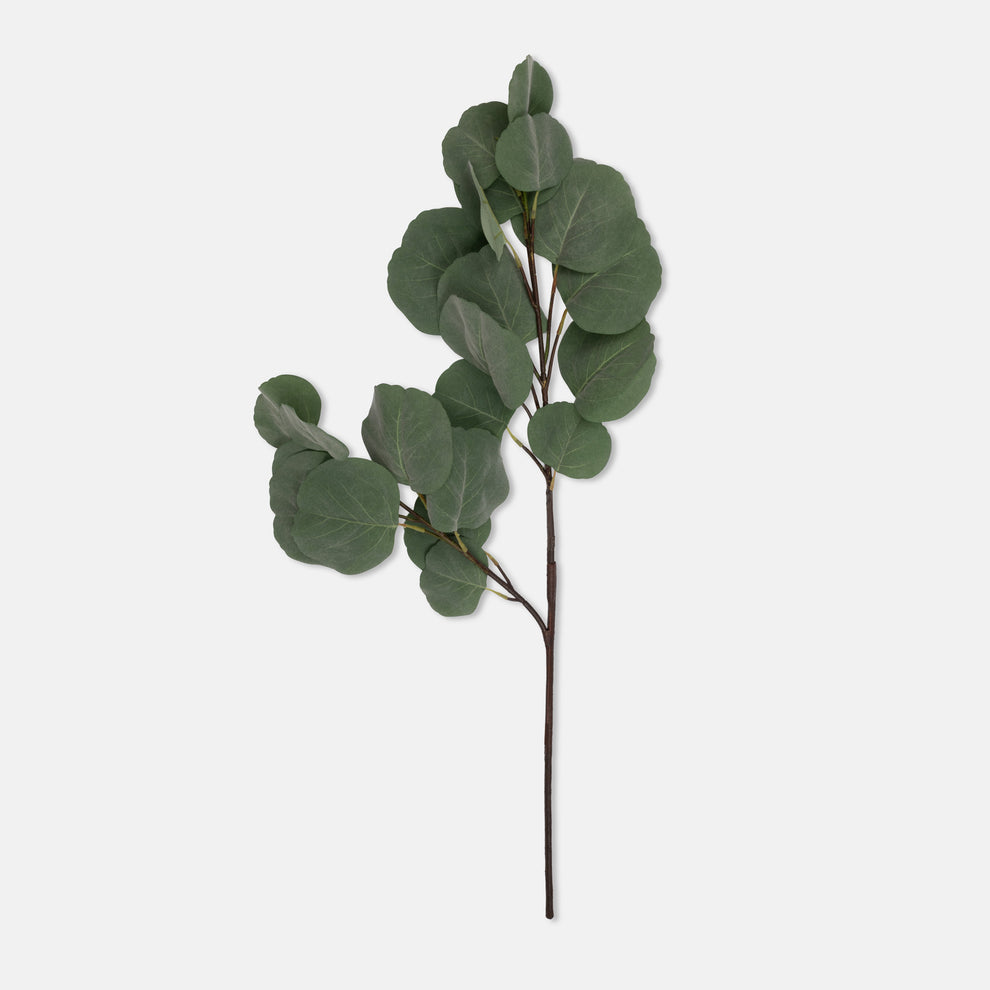 Artificial Eucalyptus Silver Dollar