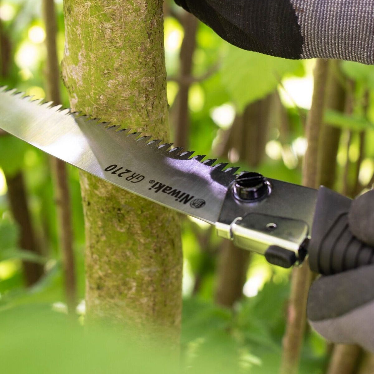 Niwaki GR210 Folding Saw