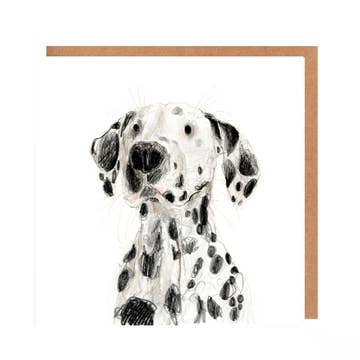 Greetings Cards By Catherine Rayner