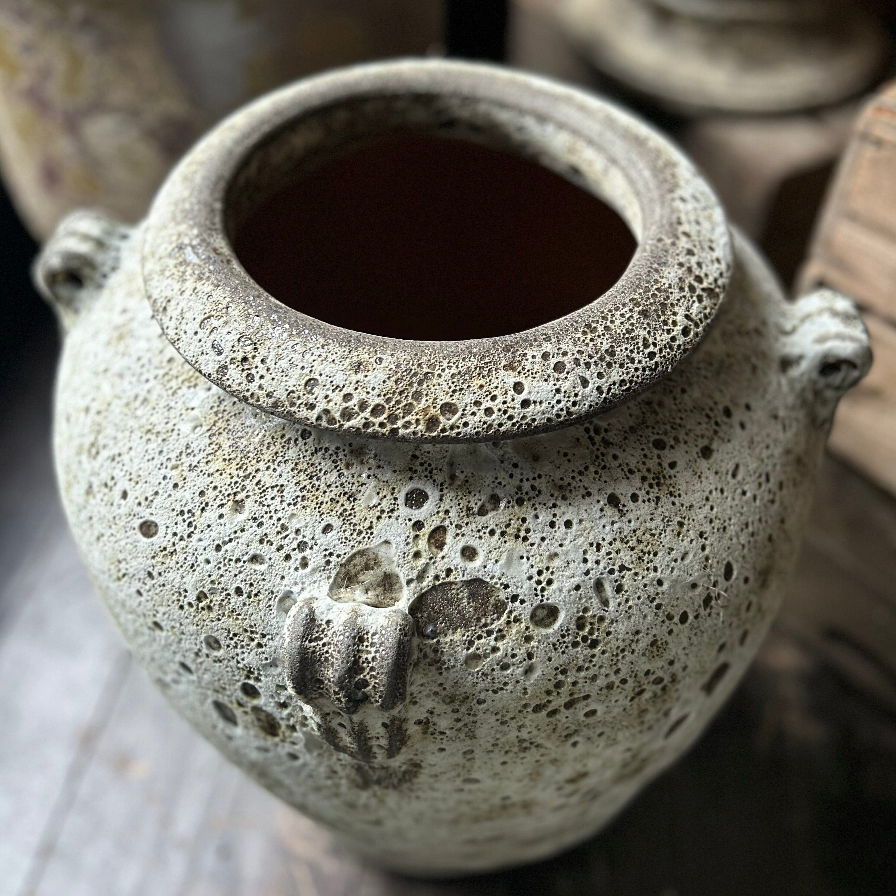 Barnacle Pot Glazed Planter Henderson's