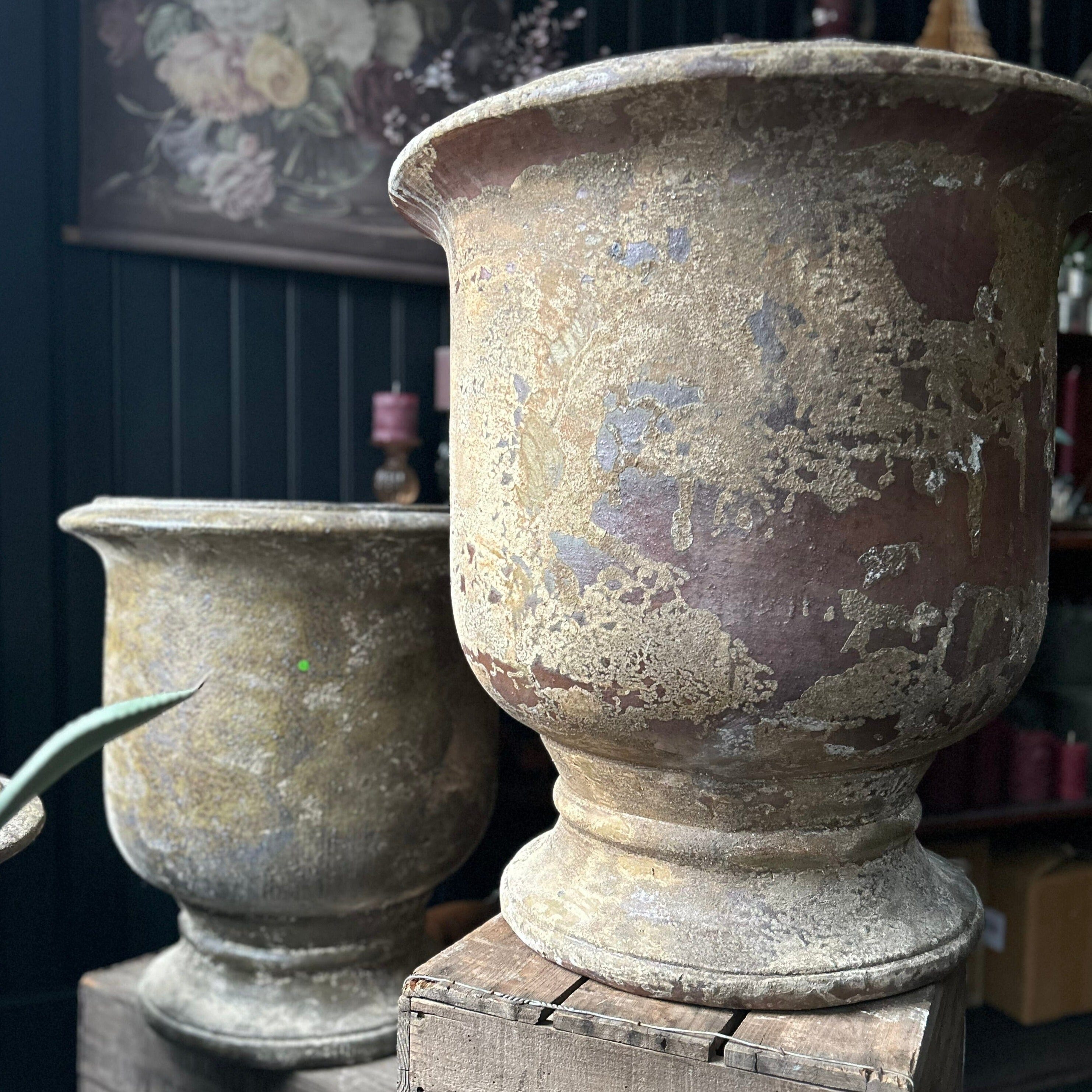 Barnacle Urn Glazed Planter Henderson's 