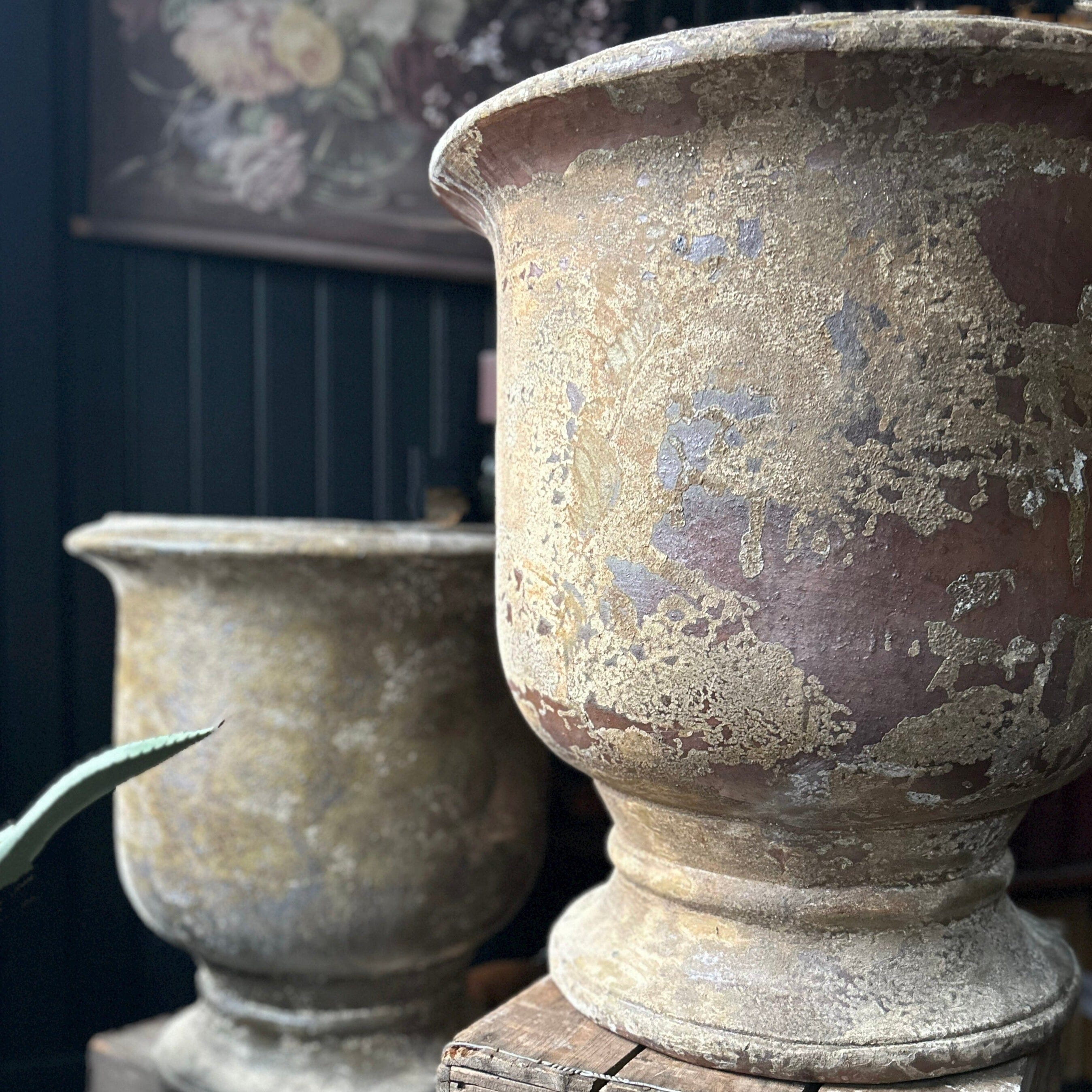 Barnacle Urn Glazed Planter Henderson's