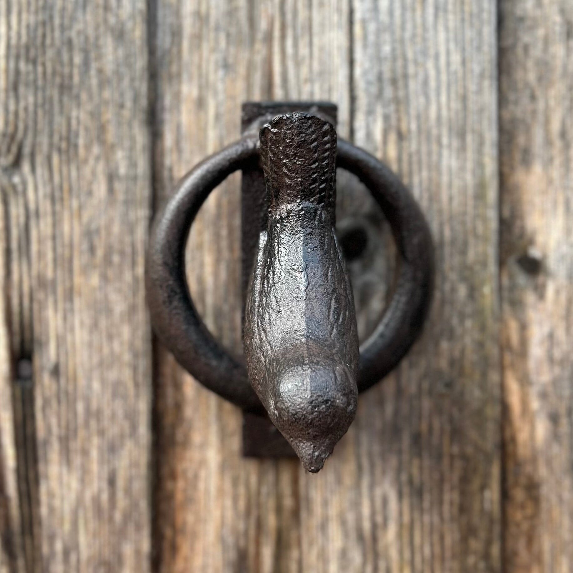 Bird Door Knocker Bird Door Knocker Henderson's