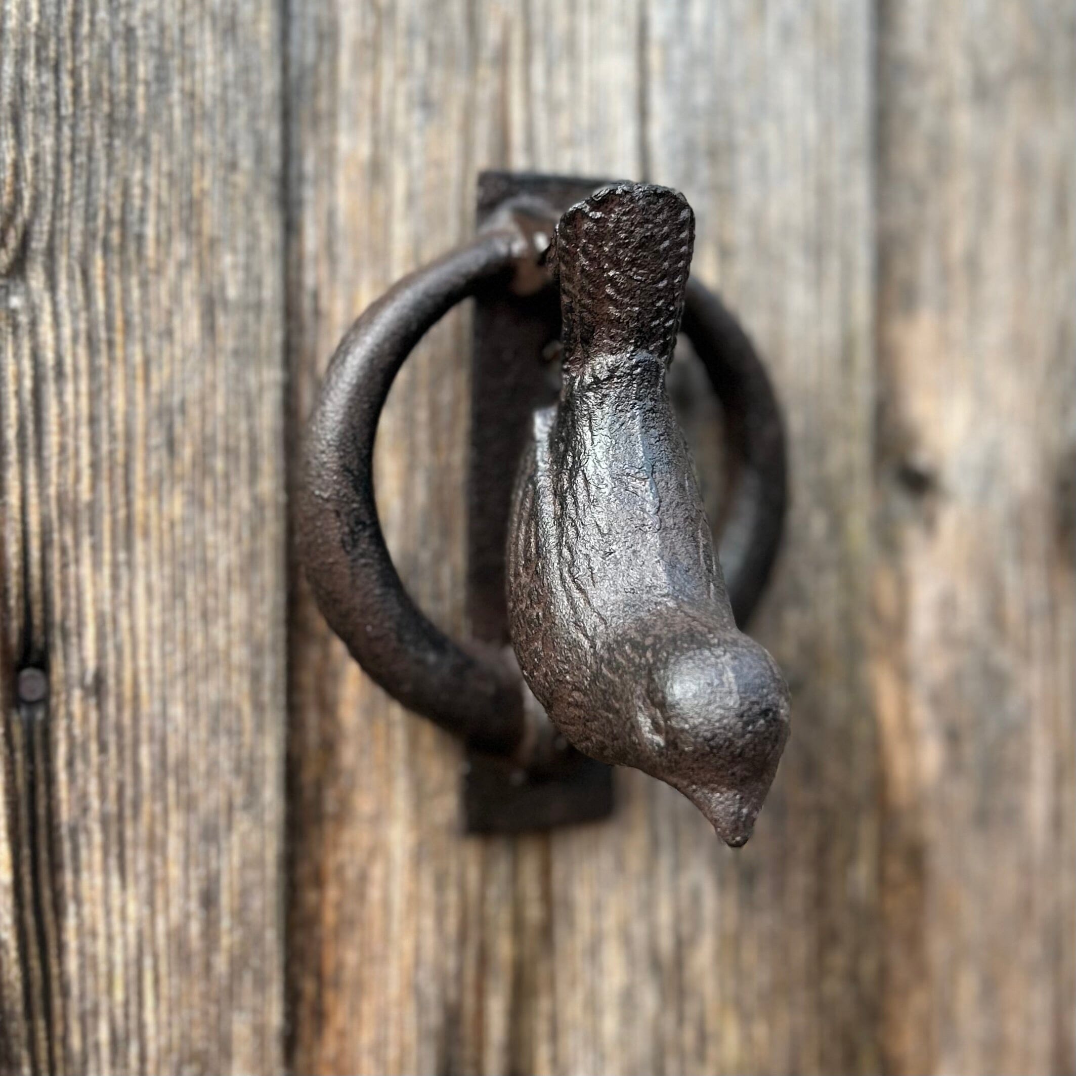 Bird Door Knocker Bird Door Knocker Henderson's 