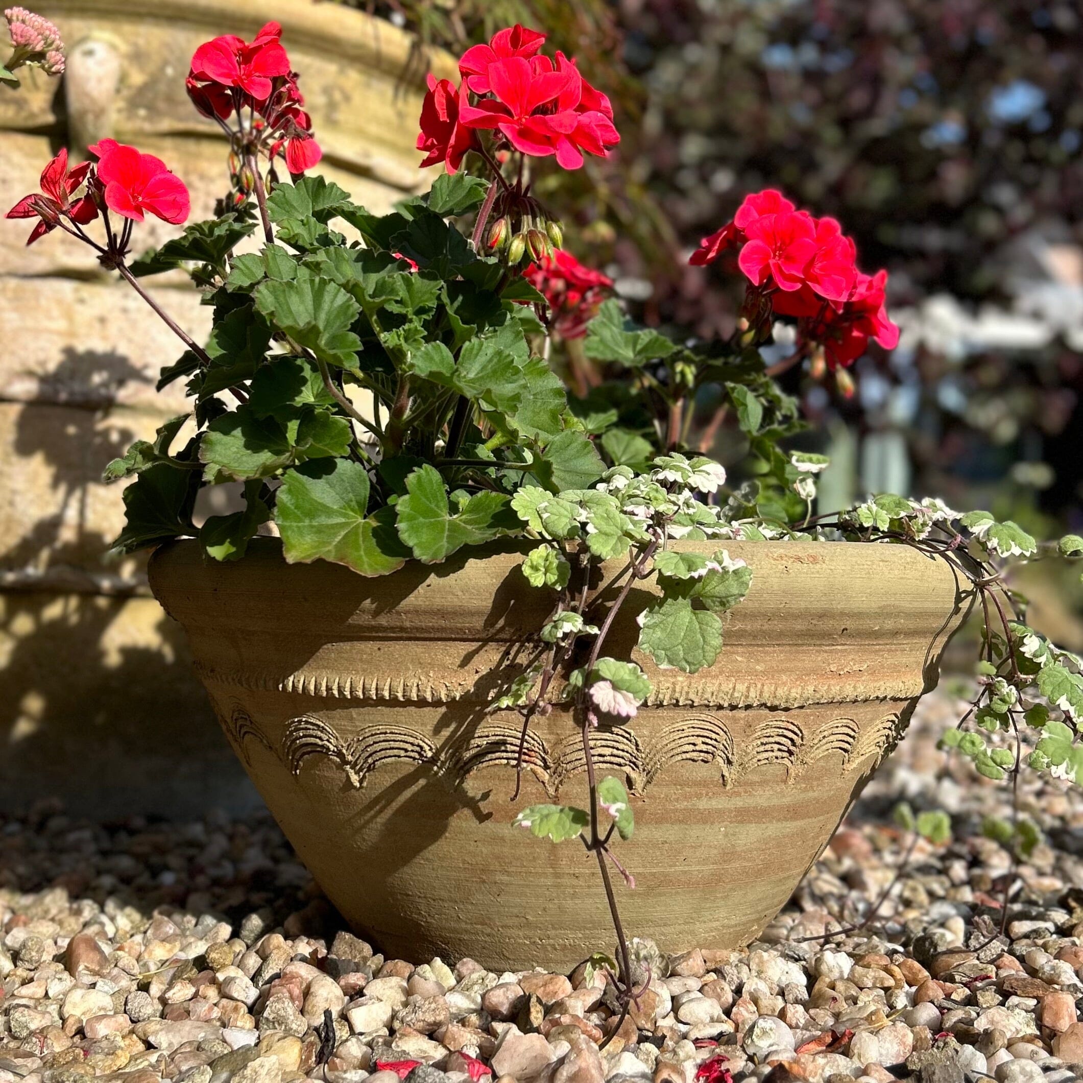 Clovelly Terracotta Planter Terracotta Plant Pot One.World