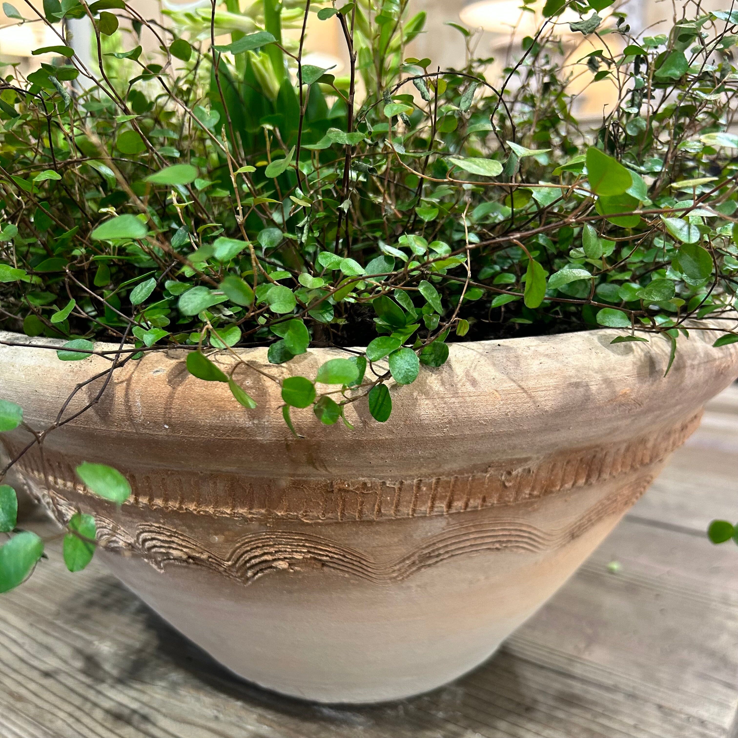 Clovelly Terracotta Planter Terracotta Plant Pot One.World