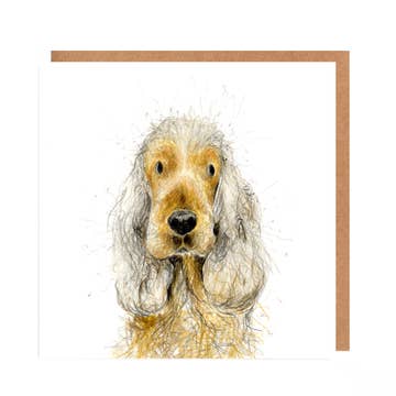 Greetings Cards By Catherine Rayner