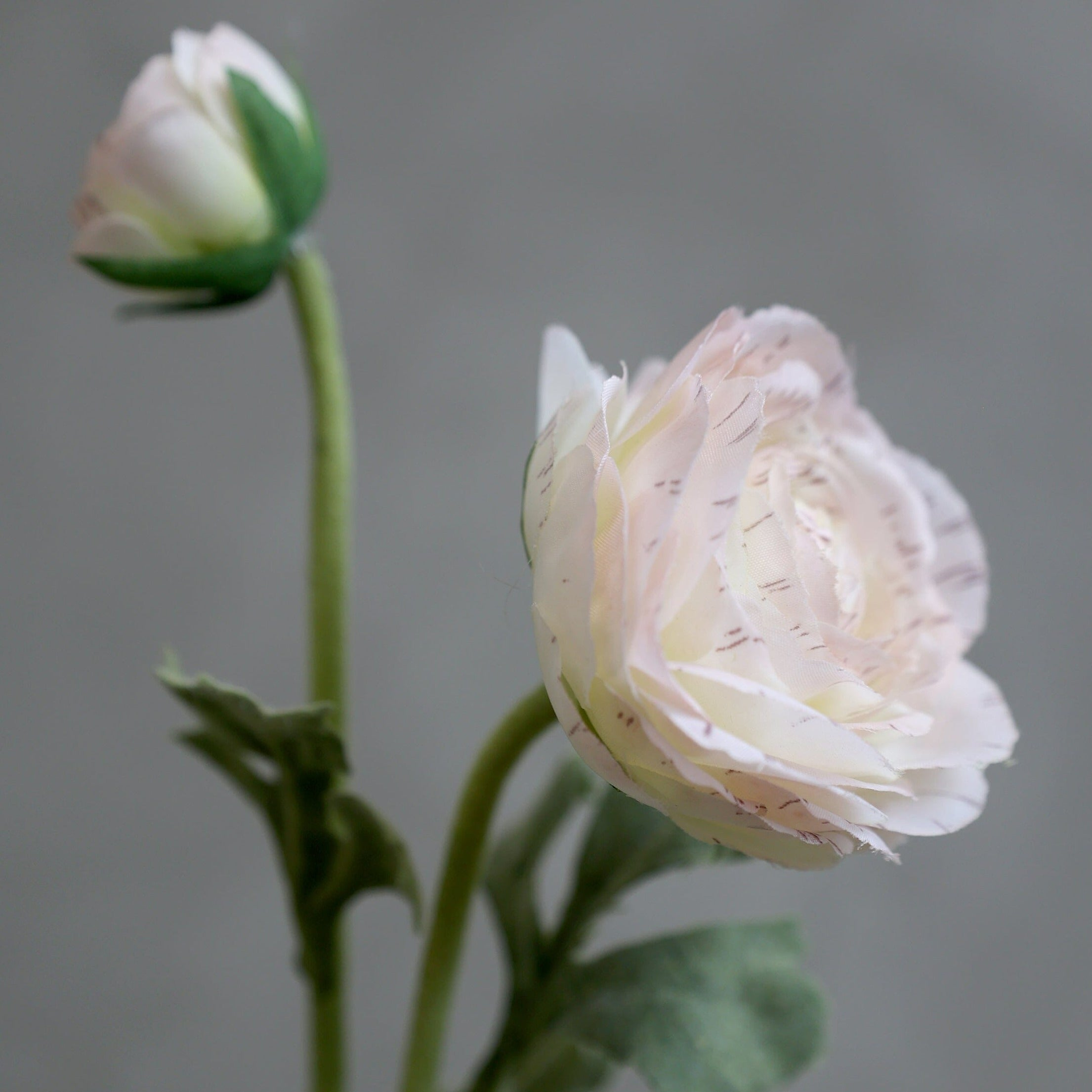Faux Ranunculus Stem Faux Ranunculus Stem Henderson's