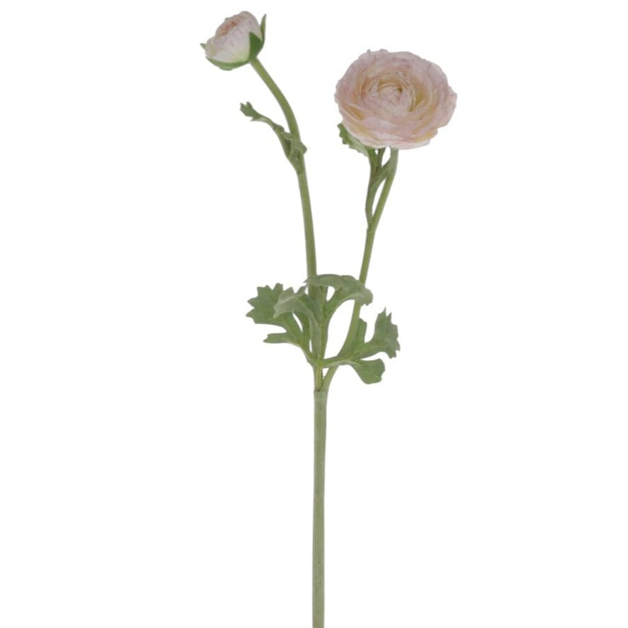 Faux Ranunculus Stem Faux Ranunculus Stem Henderson's