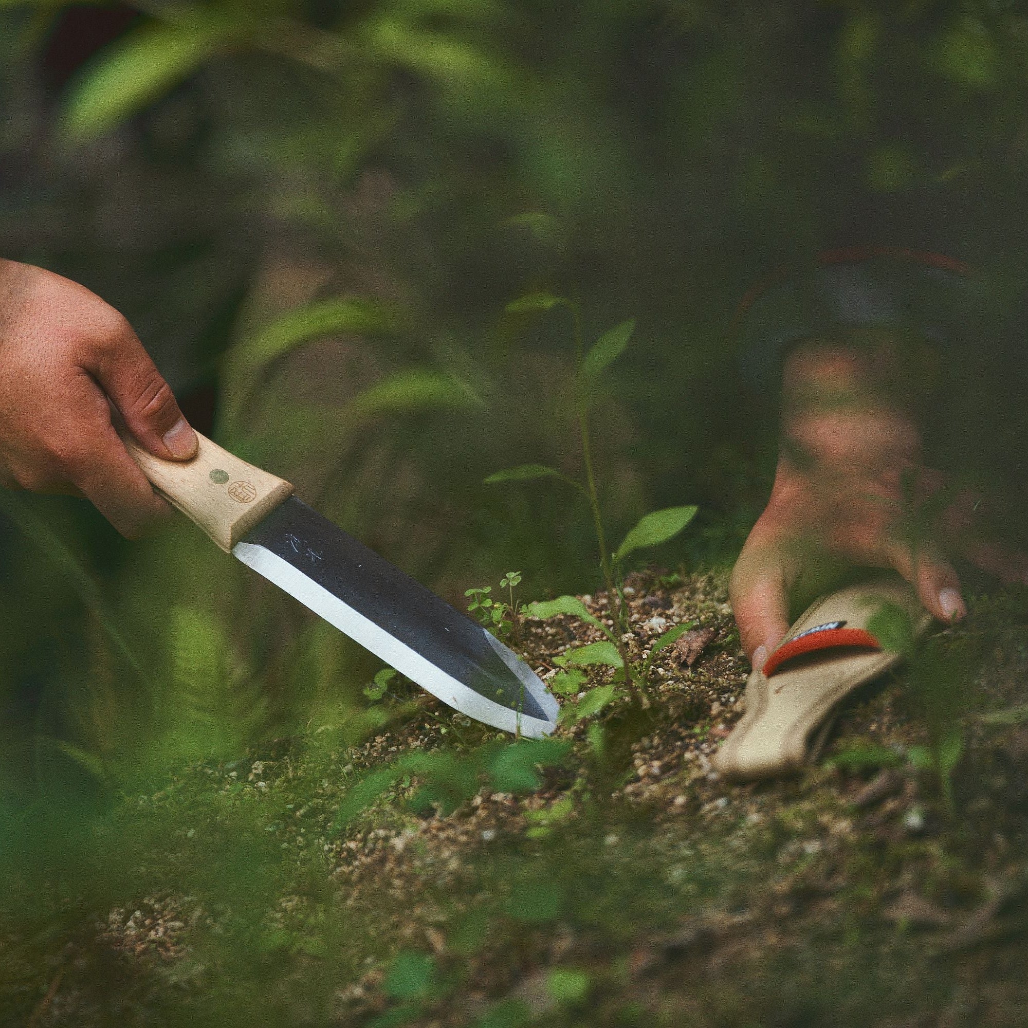 Niwaki Hori Hori Pro