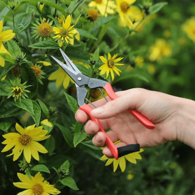 Niwaki Garden Snips