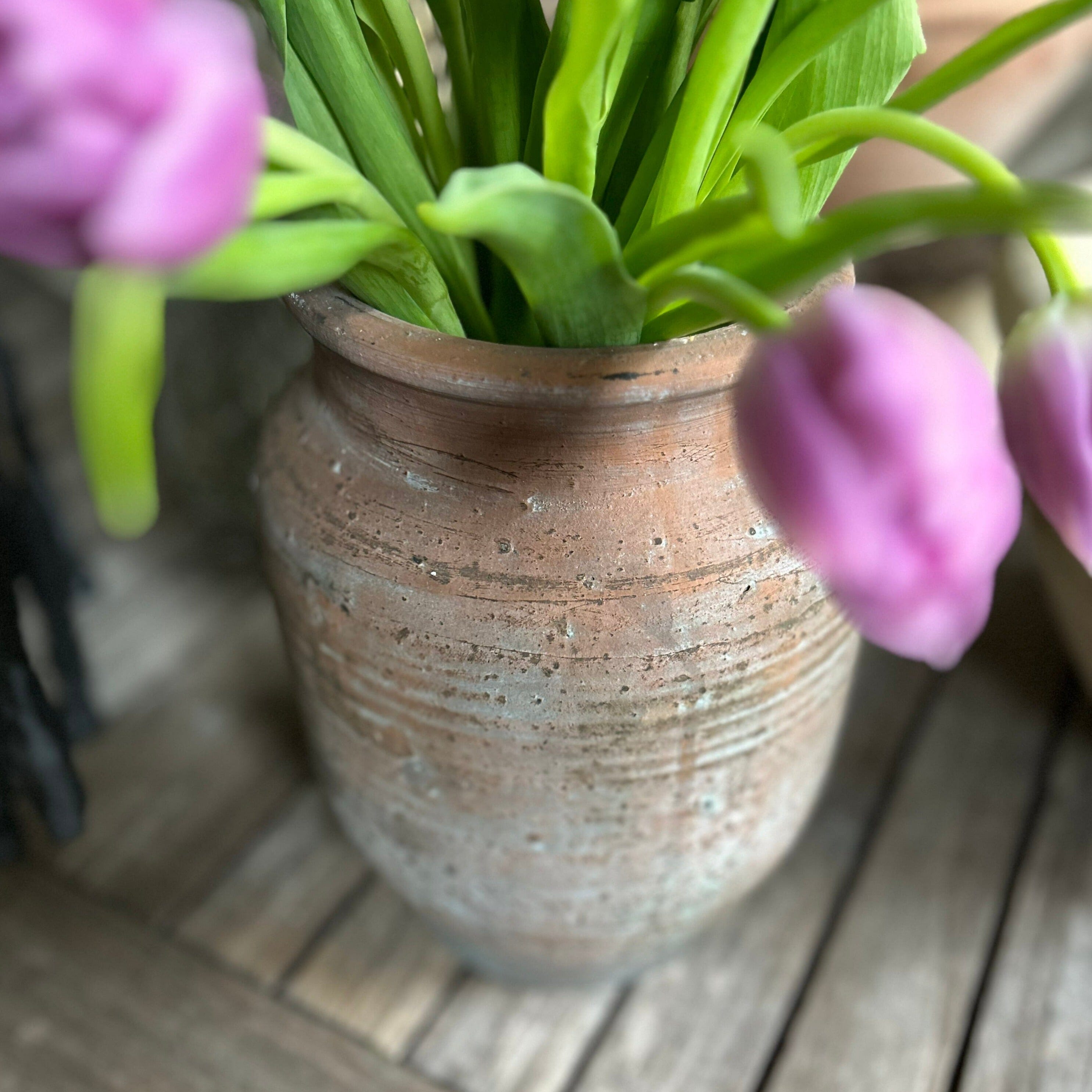 Olga Jar Terracotta Pot Terrace & Garden 