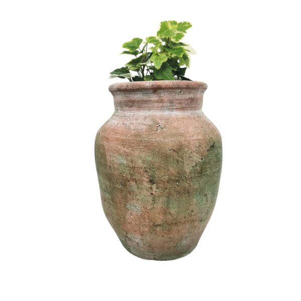 Olga Jar Terracotta Pot Terrace & Garden