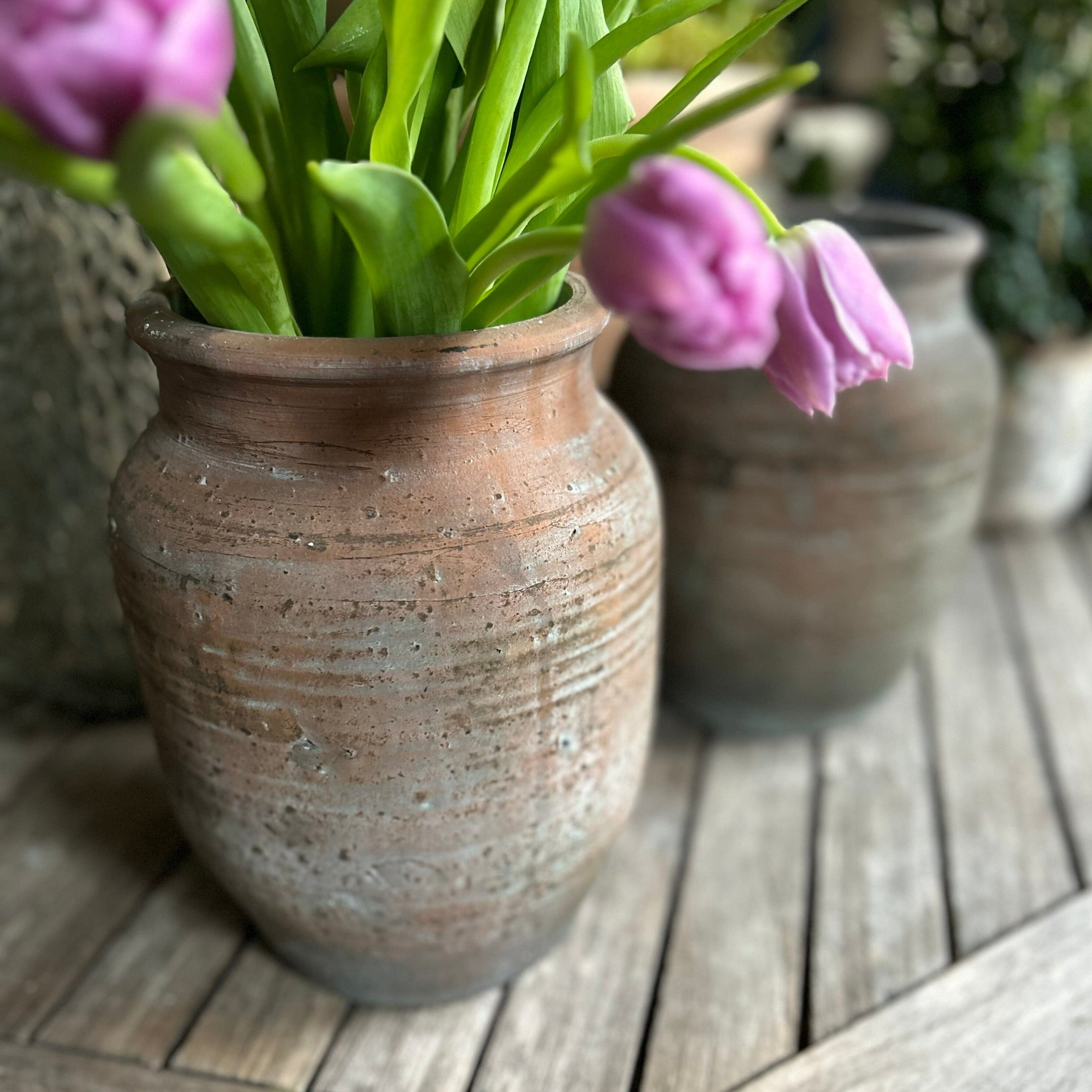 Olga Jar Terracotta Pot Terrace & Garden 