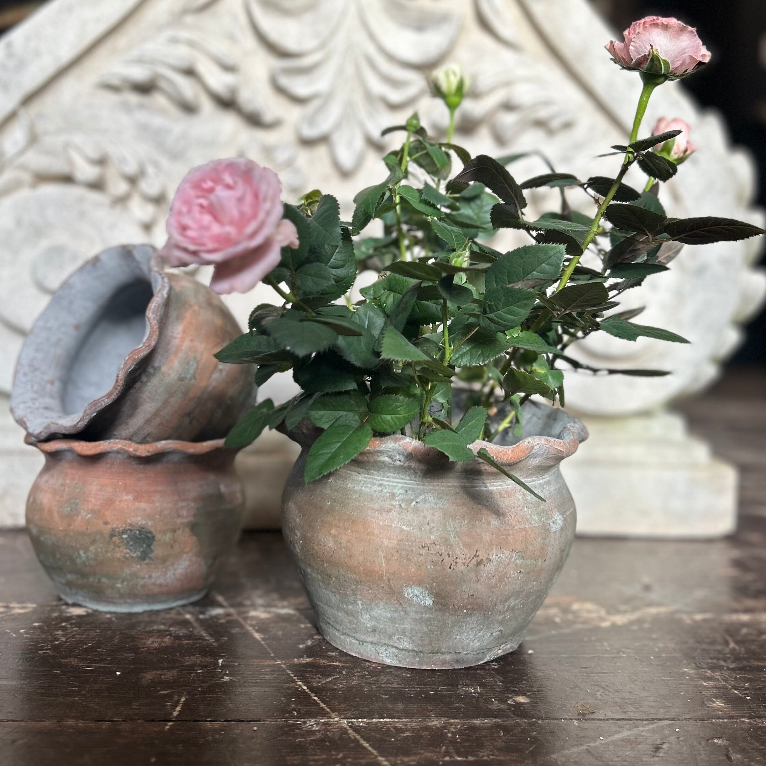 Pie Crust Plant Pot Hand Crafted Pot Terrace & Garden
