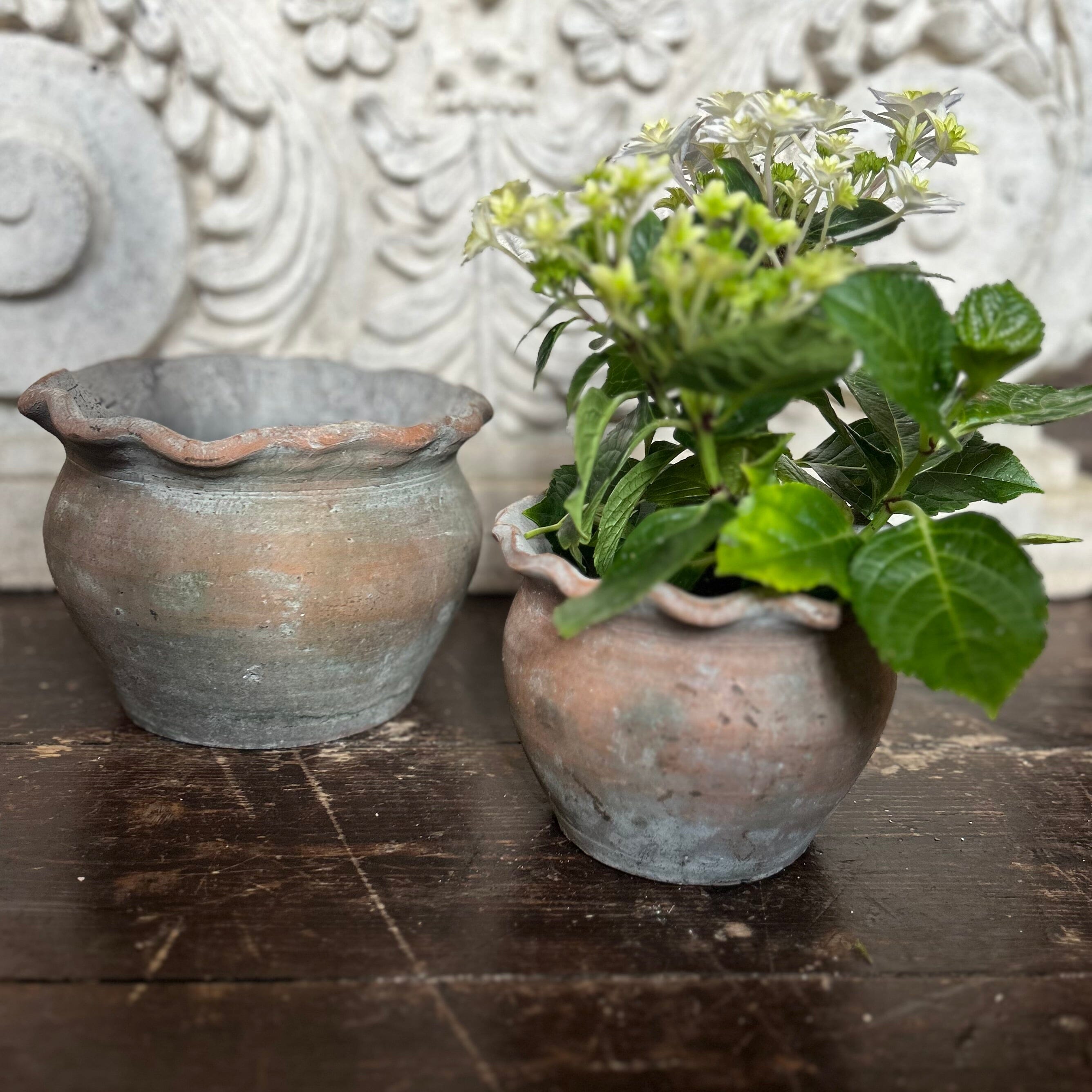Pie Crust Plant Pot Hand Crafted Pot Terrace & Garden