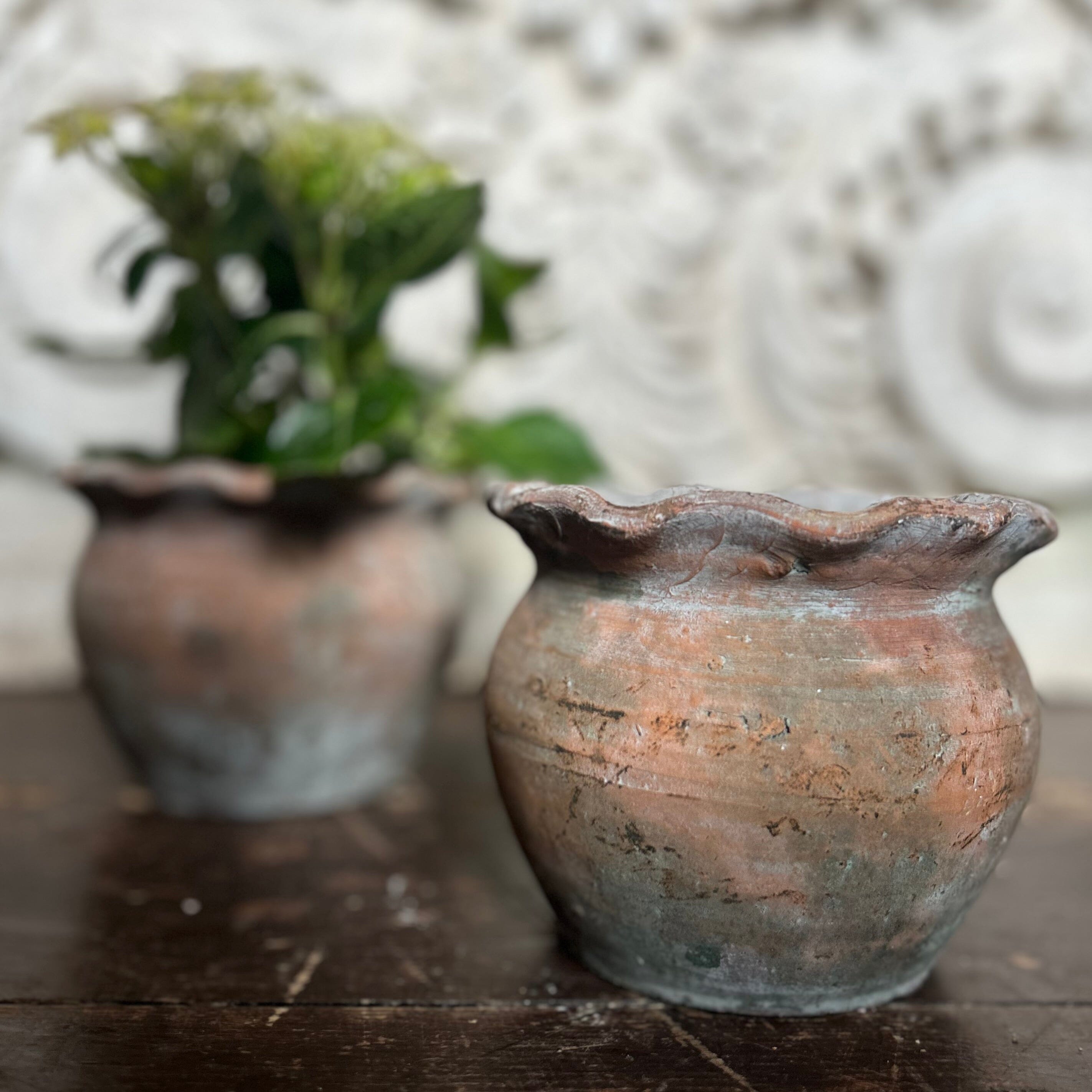 Pie Crust Plant Pot Hand Crafted Pot Terrace & Garden