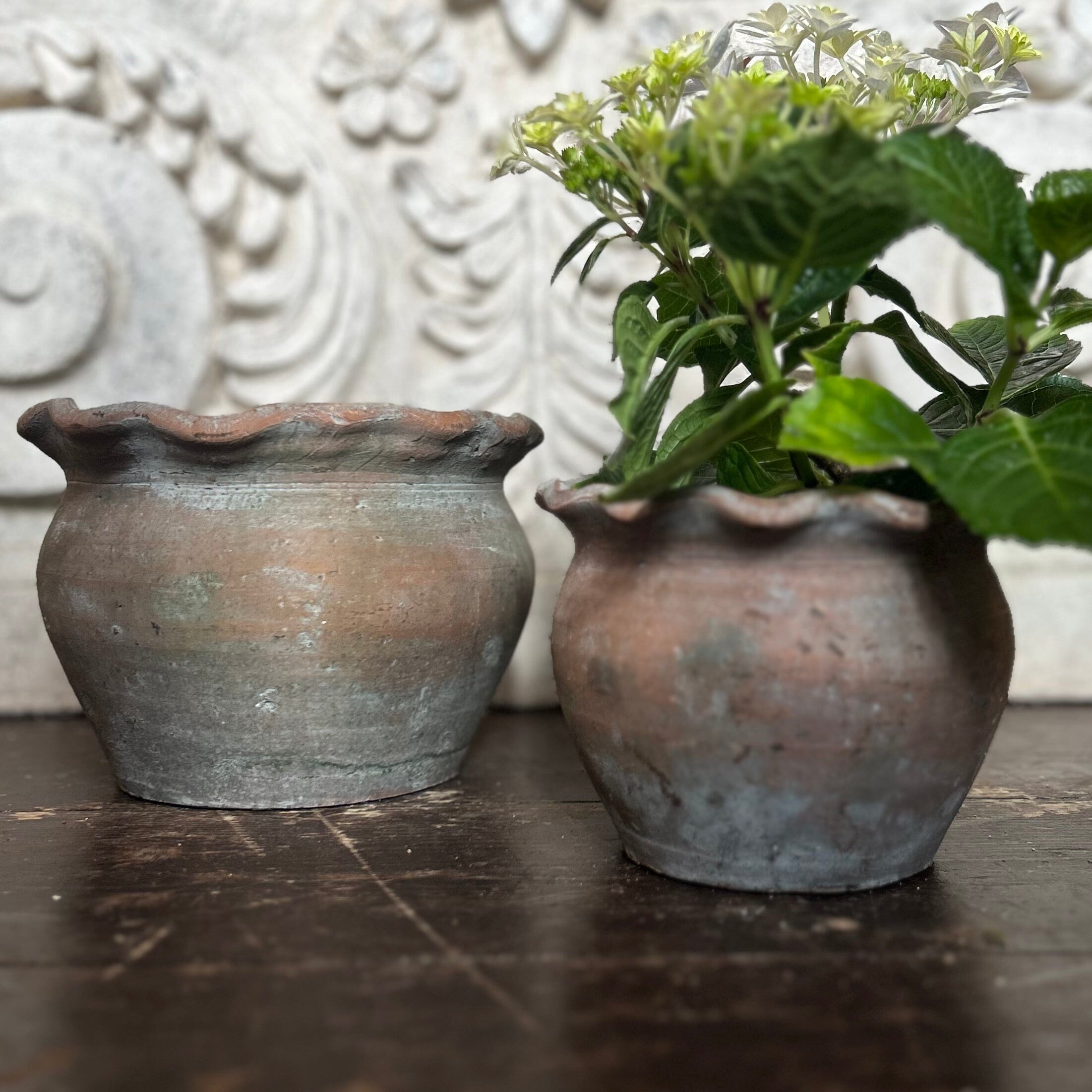 Pie Crust Plant Pot Hand Crafted Pot Terrace & Garden