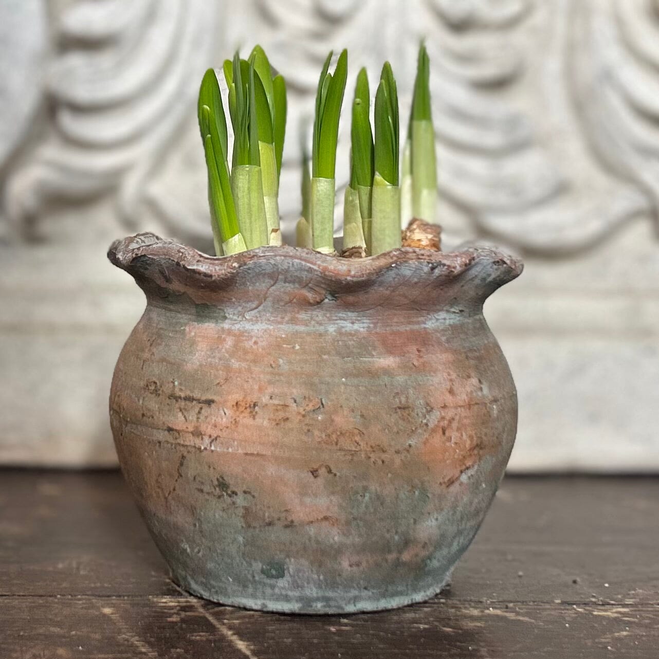 Pie Crust Plant Pot Hand Crafted Pot Terrace & Garden Small