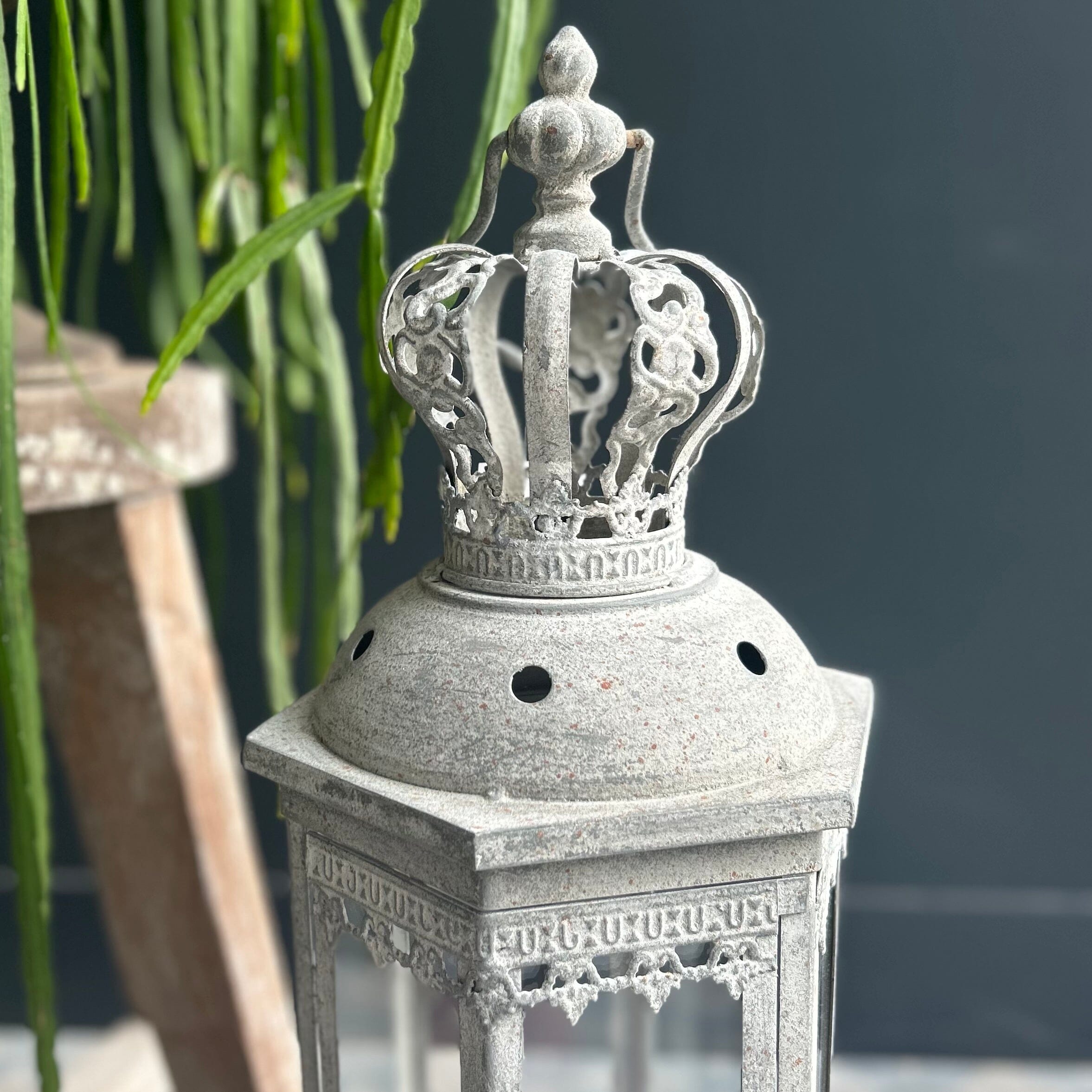 Sia Lantern Lantern Henderson's