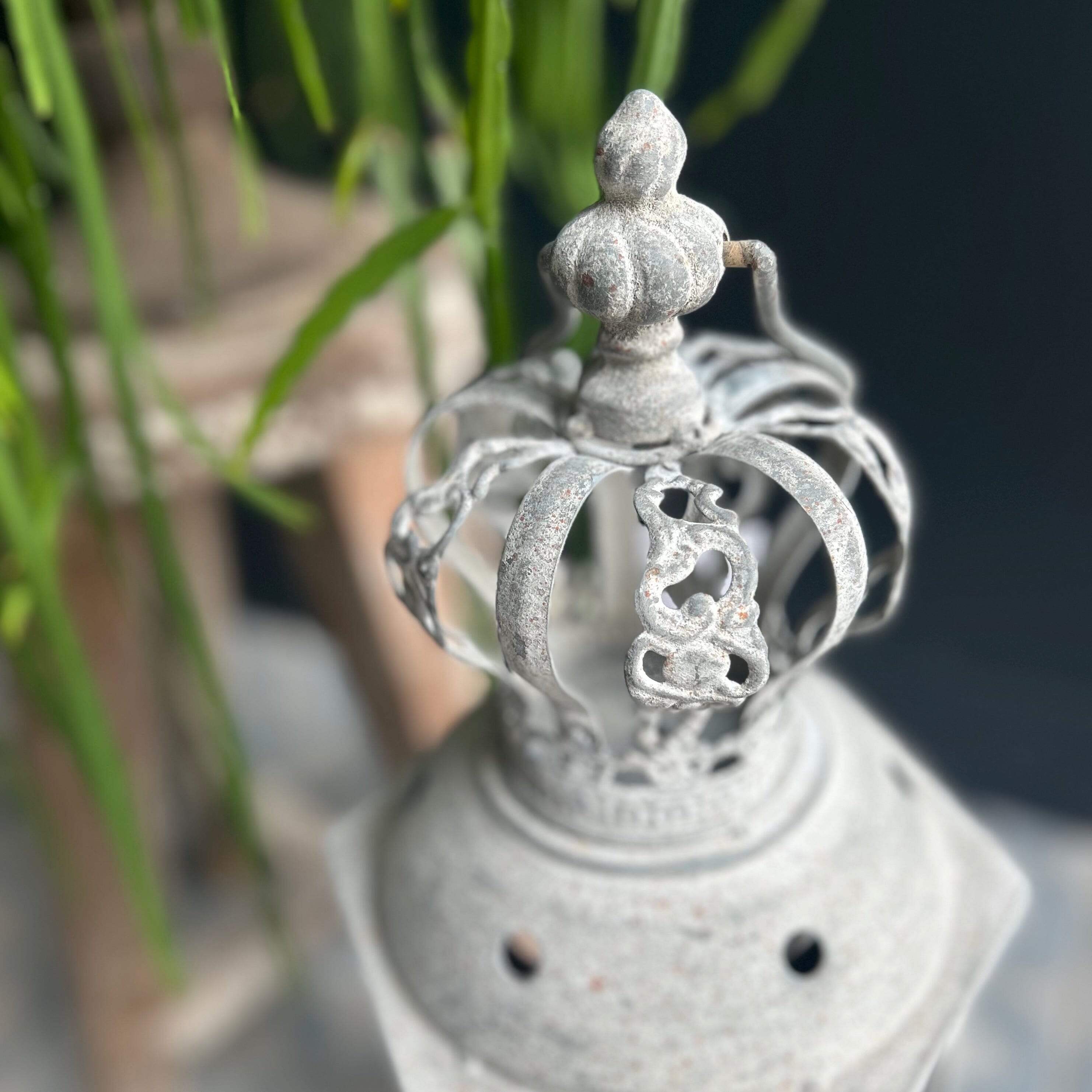 Sia Lantern Lantern Henderson's