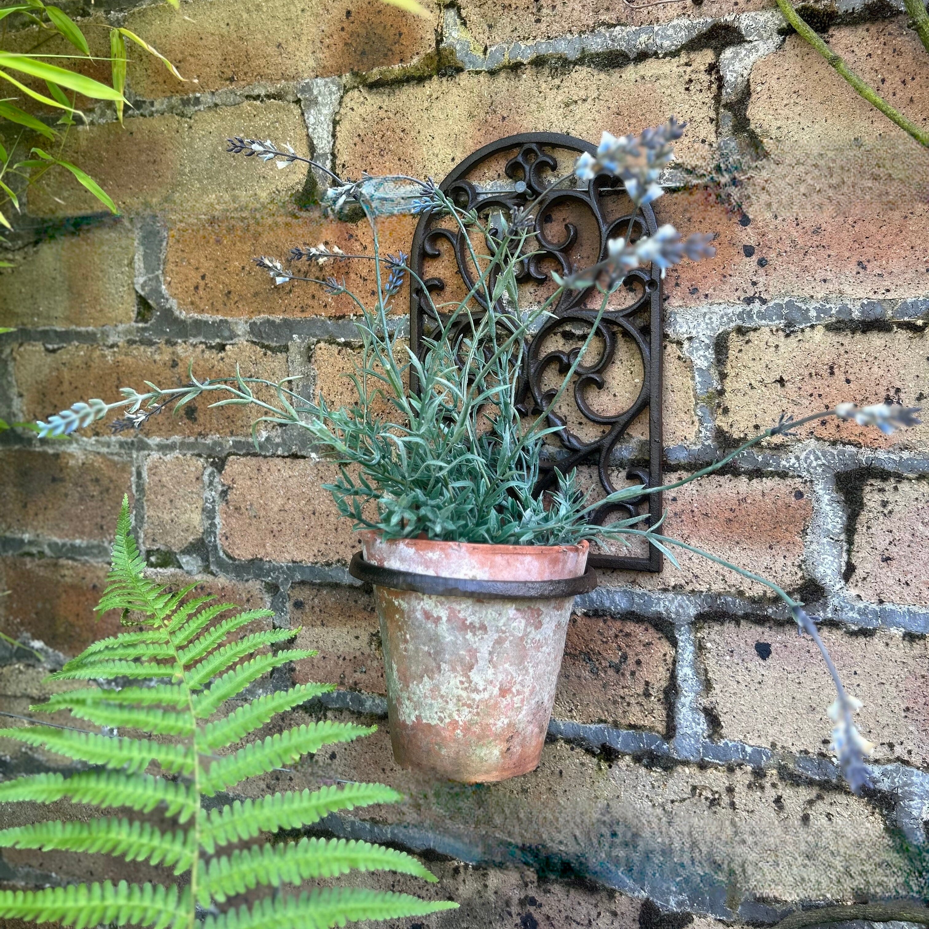 Wall Mounted Pot Holder Wall Mounted Plant Pot Holder Sparta Decor
