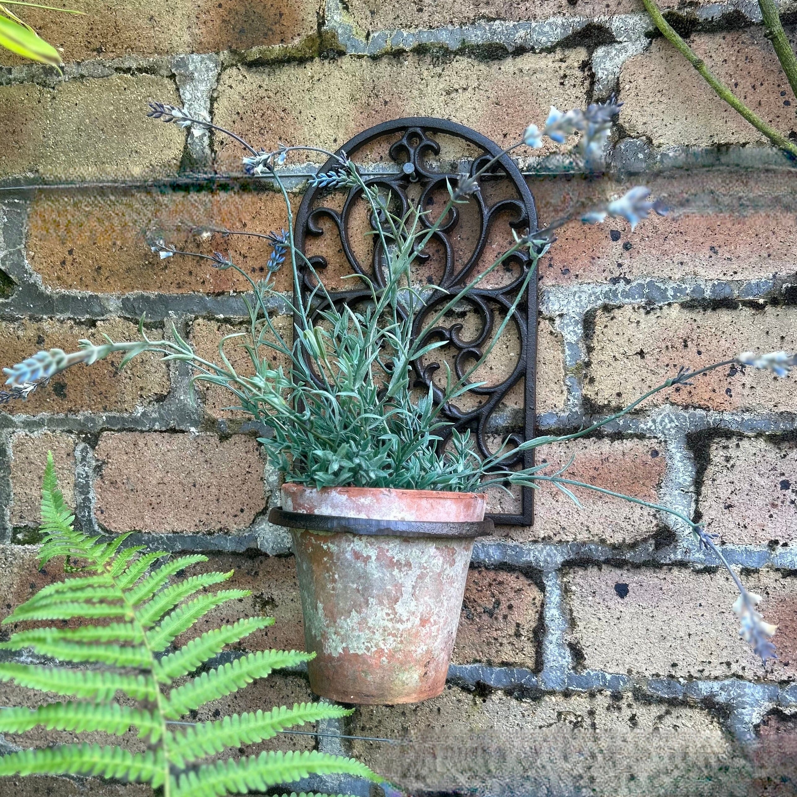 Wall Mounted Pot Holder Wall Mounted Plant Pot Holder Sparta Decor