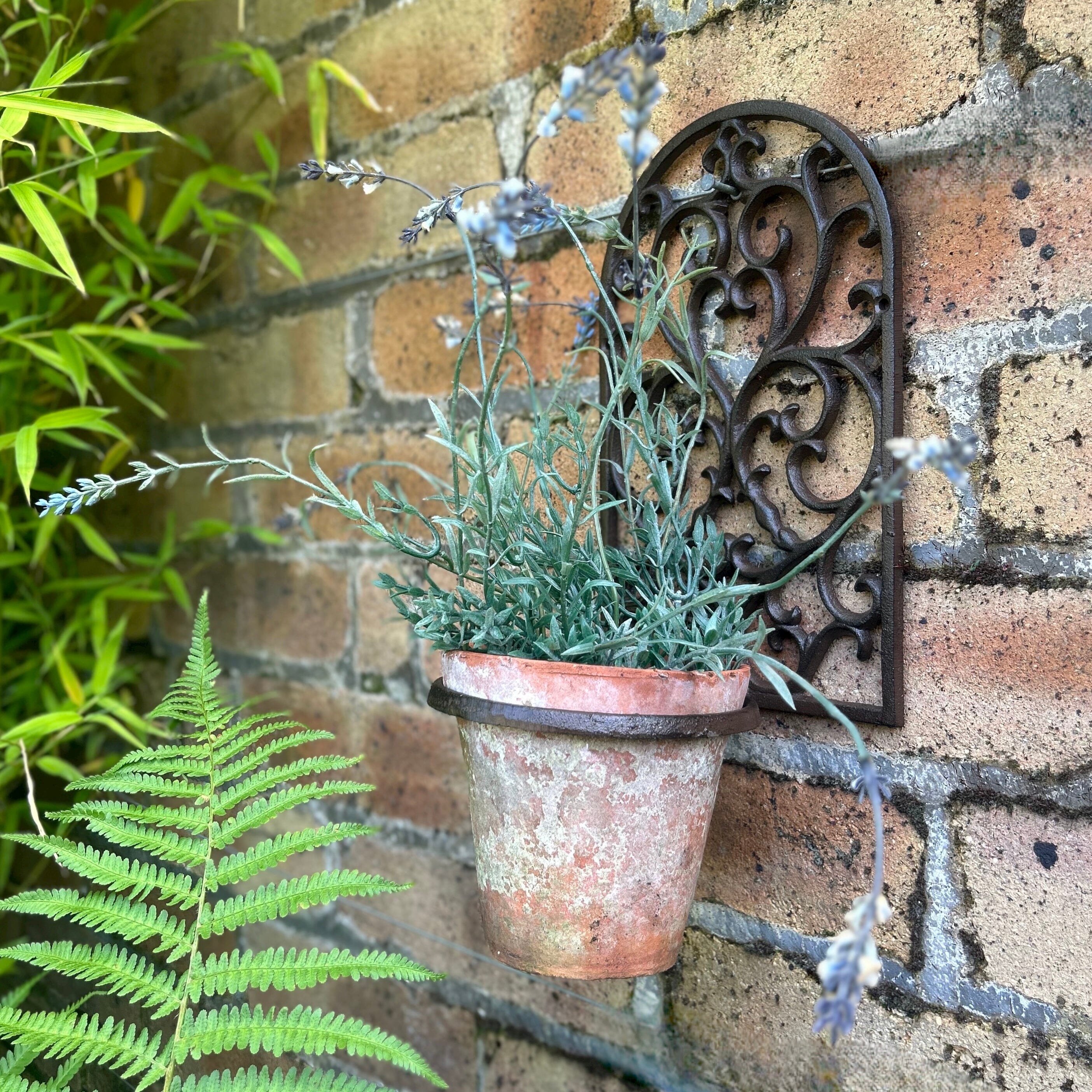 Wall Mounted Pot Holder Wall Mounted Plant Pot Holder Sparta Decor