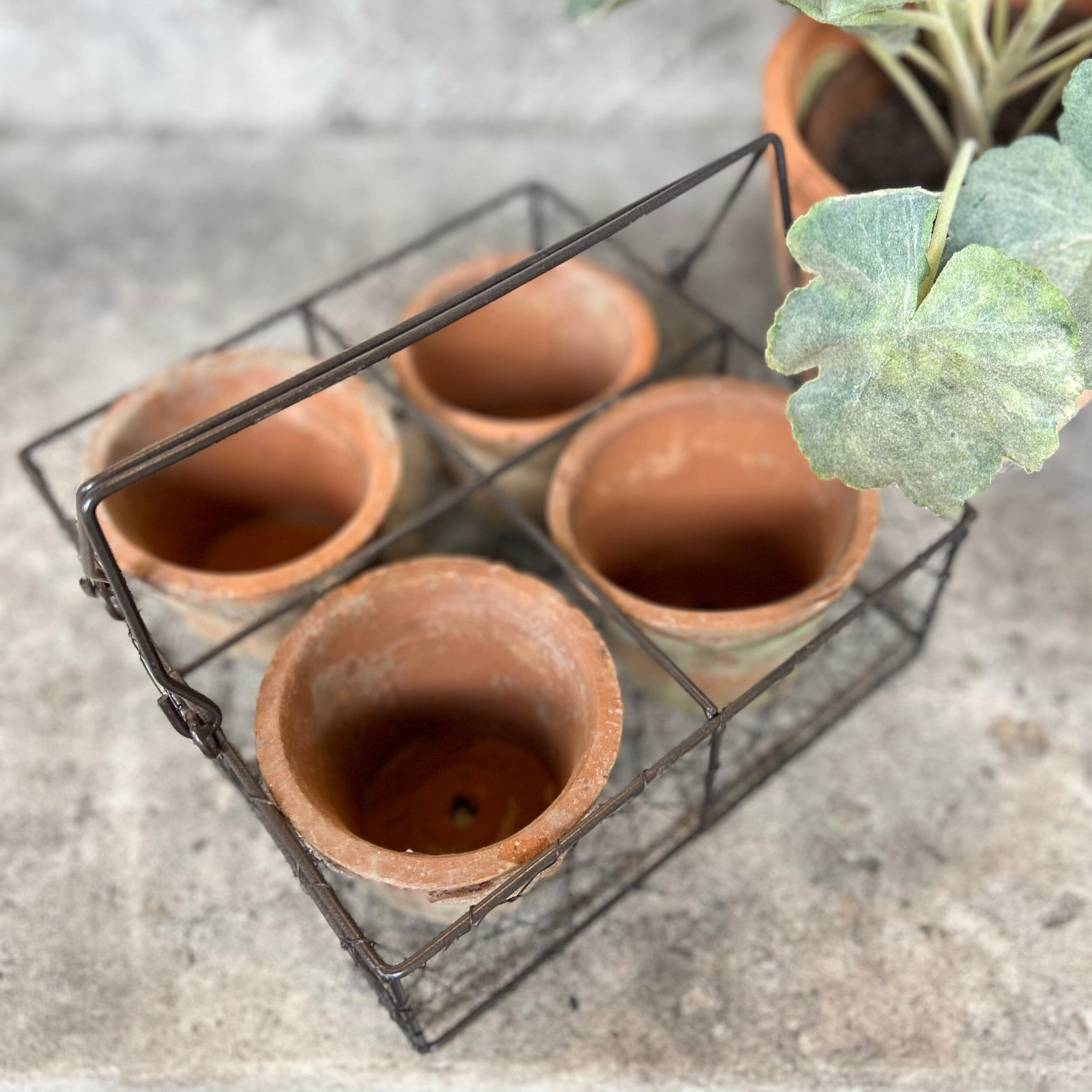 Aged Terracotta Pots In Wire Basket Terracotta Pots Henderson's 