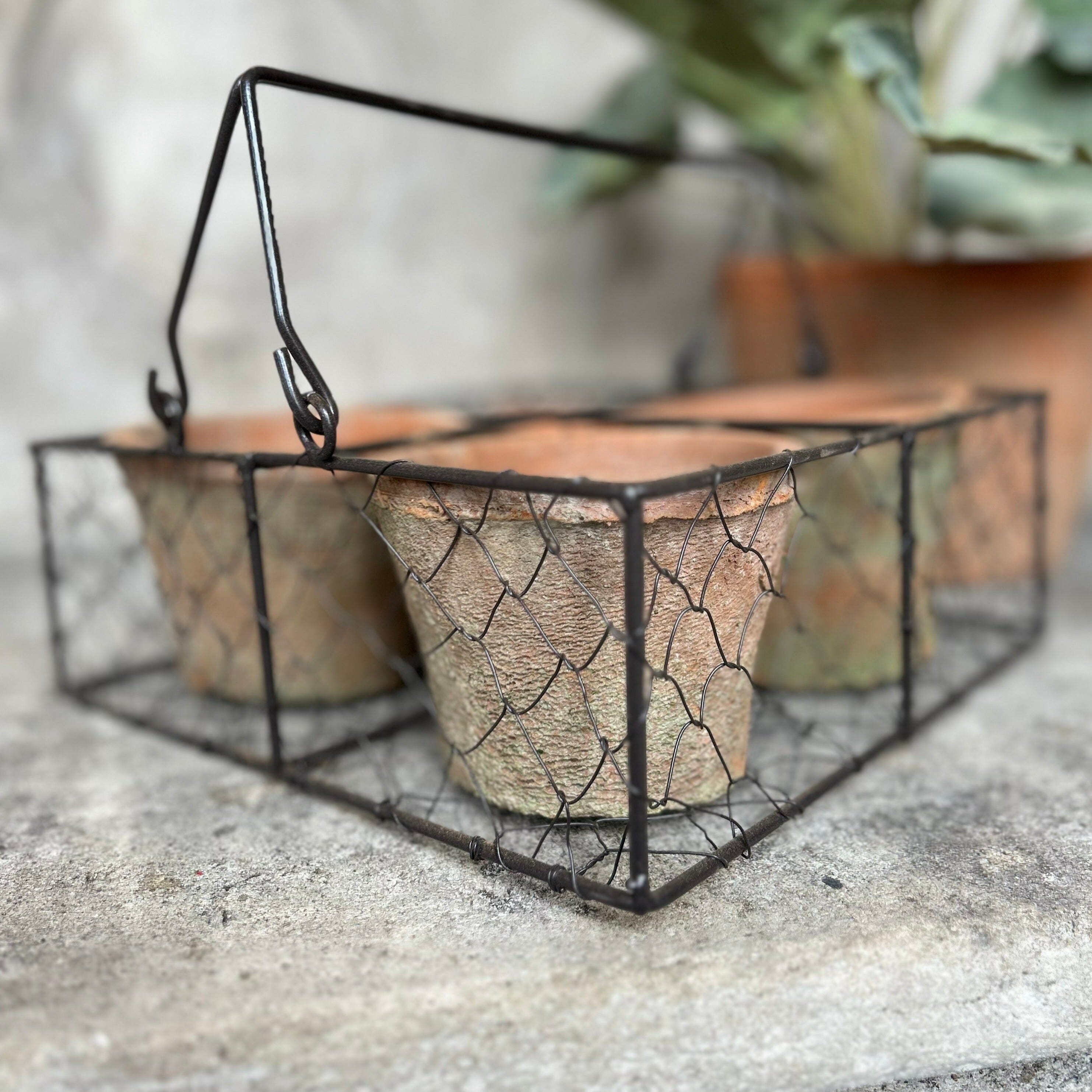 Aged Terracotta Pots In Wire Basket Terracotta Pots Henderson's 