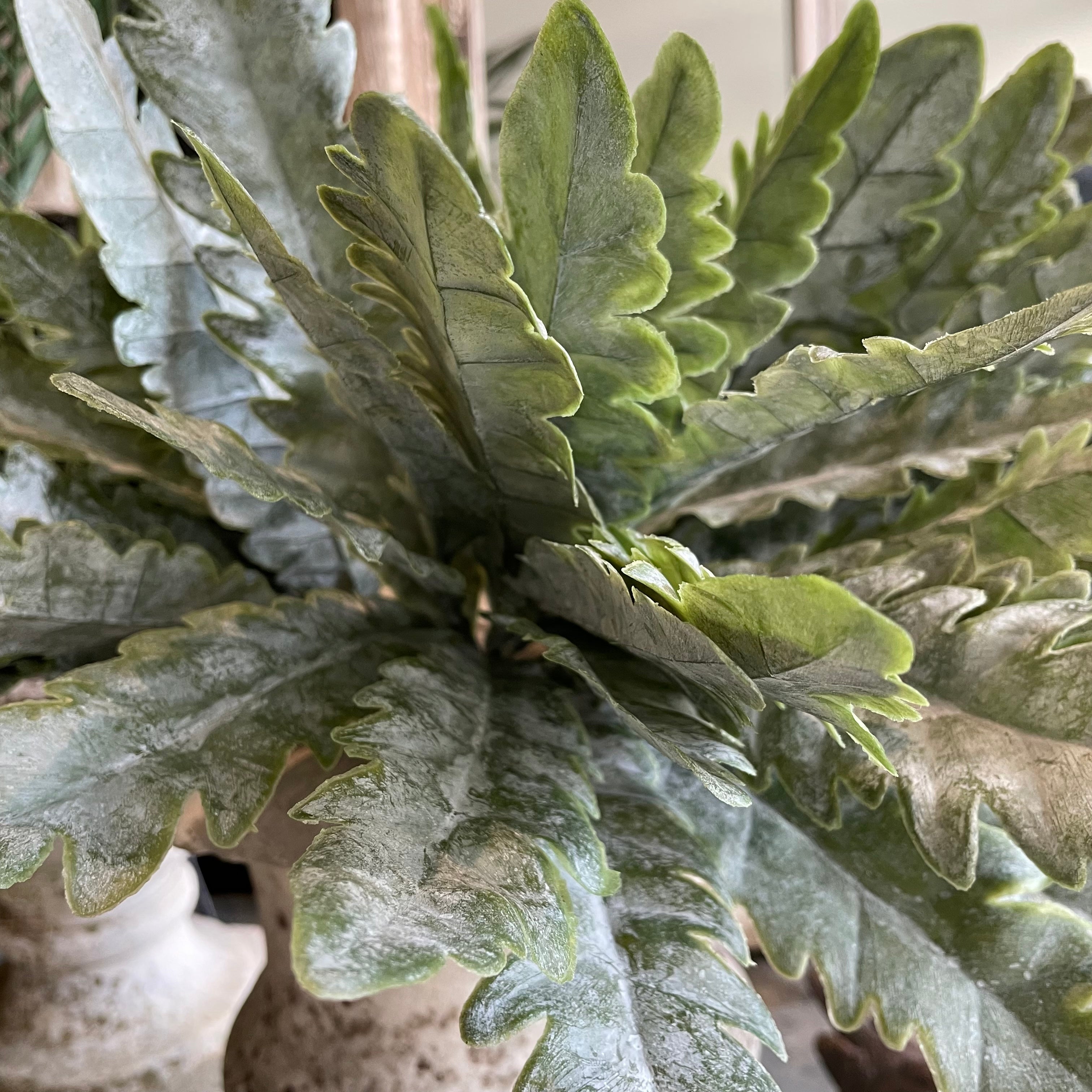 Asplenium Spray Faux Fern Stem Henderson's 