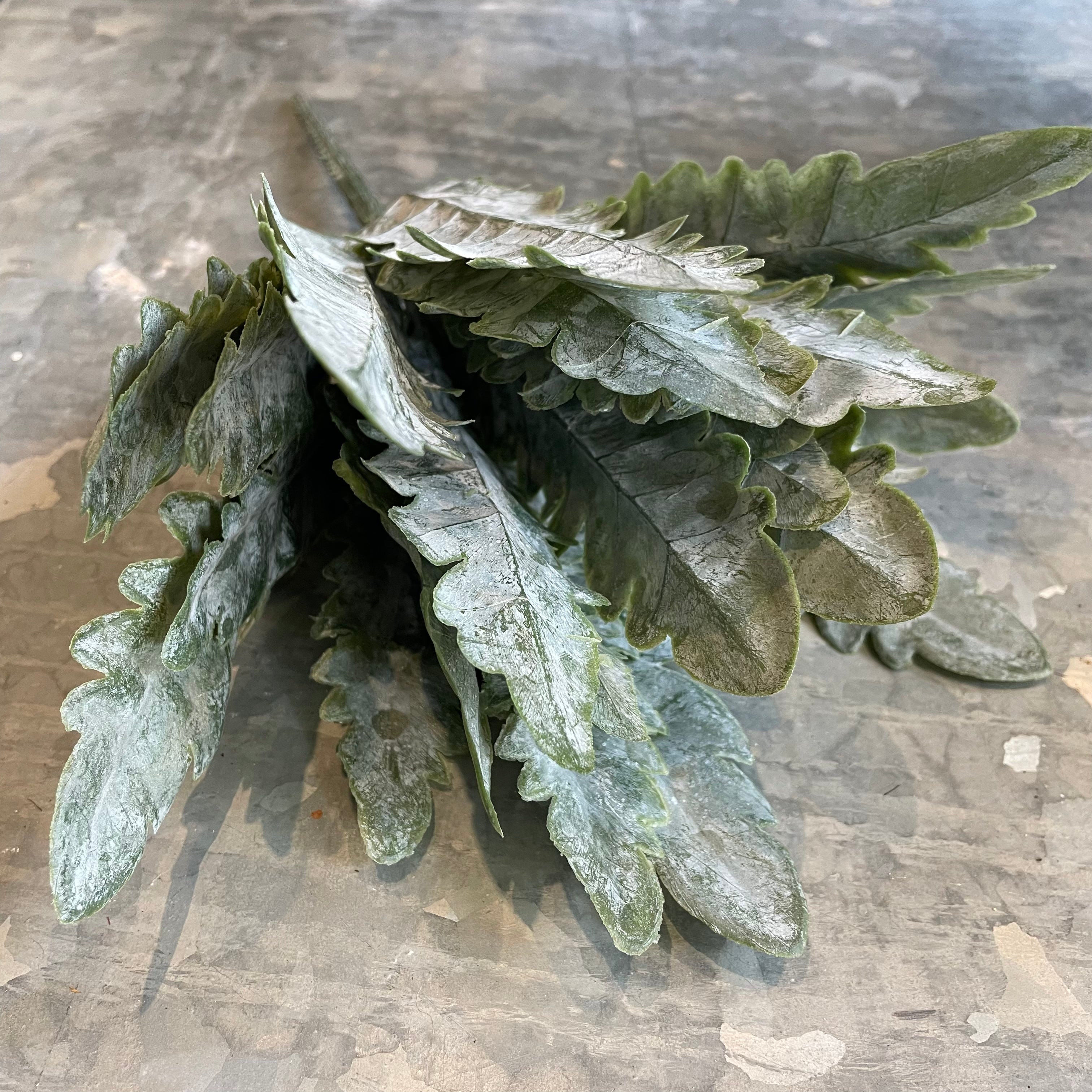 Asplenium Spray Faux Fern Stem Henderson's 