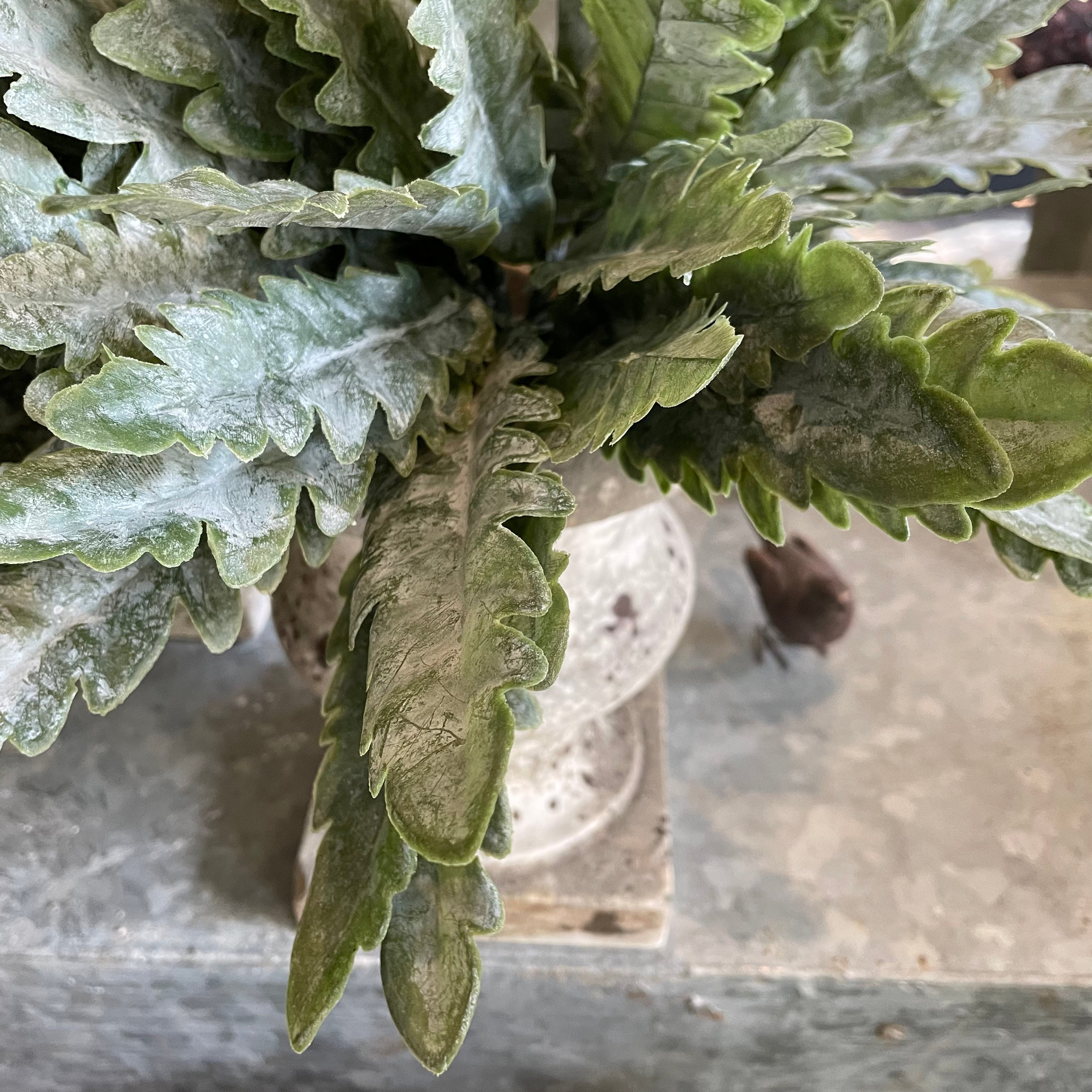 Asplenium Spray Faux Fern Stem Henderson's 