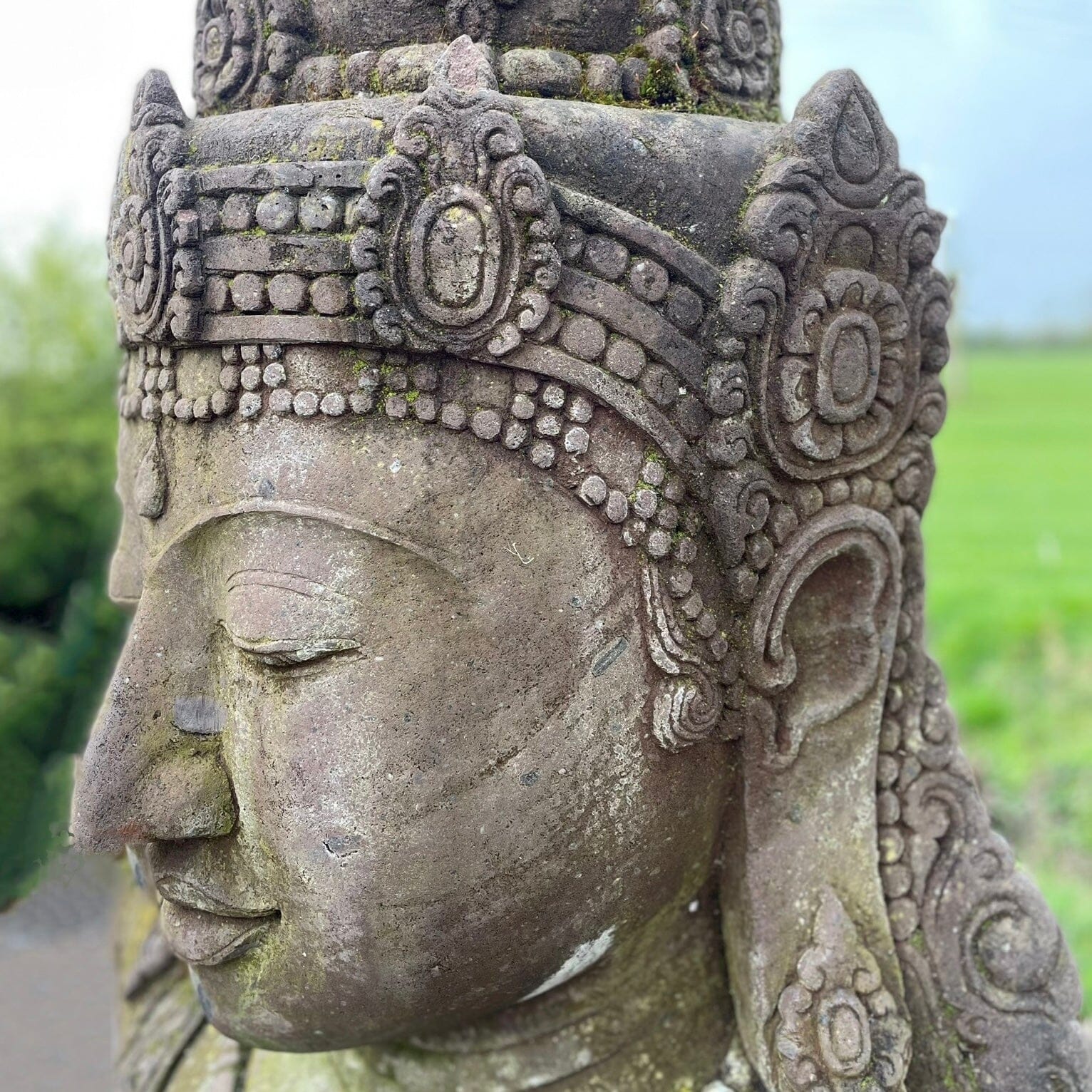 Buddha Bust Sculpture Buddha Henderson's 
