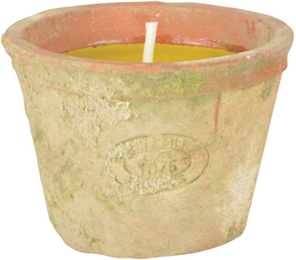 Citronella Candle In Terracotta Pot Citronella candle Henderson's