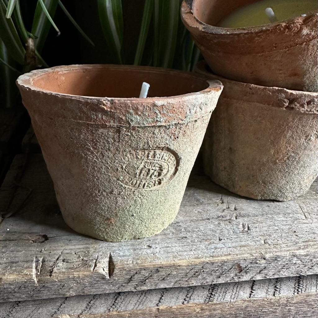 Citronella Candle In Terracotta Pot Citronella candle Henderson's