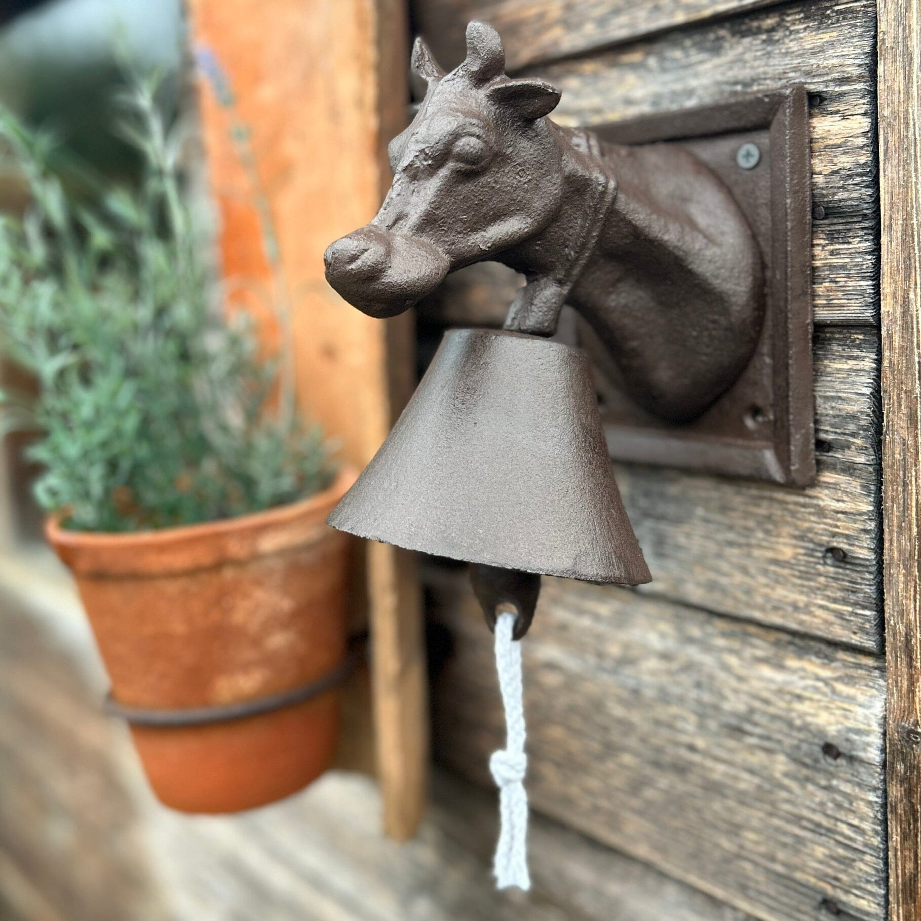 Cow Head Doorbell Cow Head Doorbell Henderson's