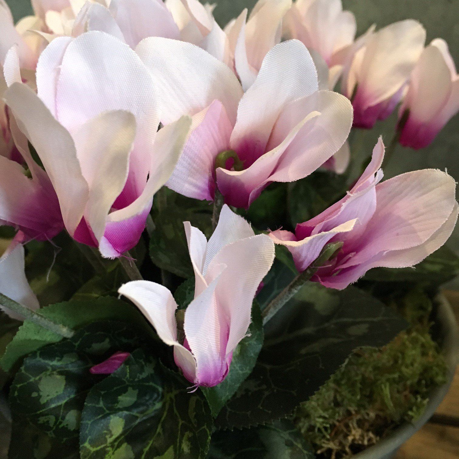 Cyclamen Plant Faux Plant Henderson's