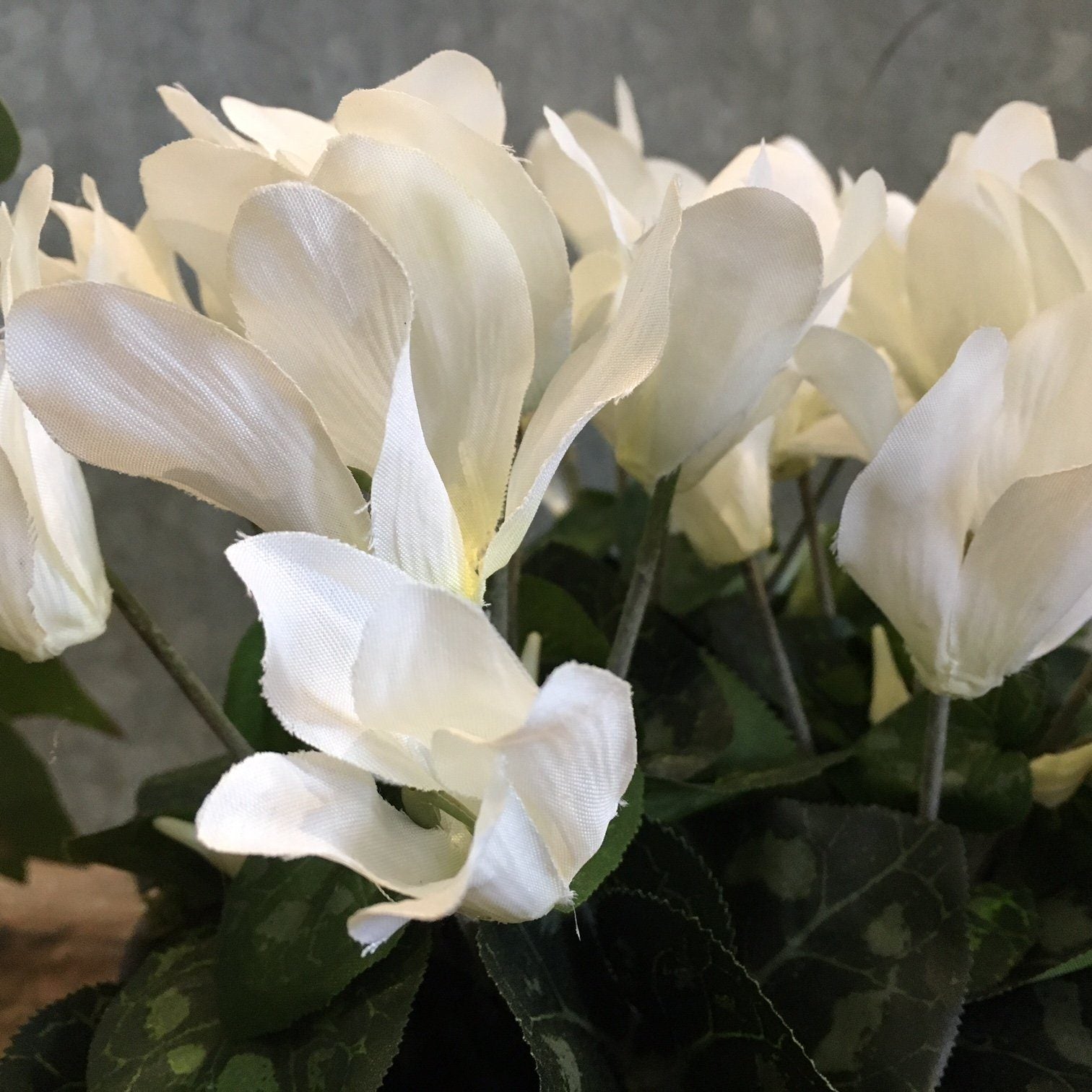 Cyclamen Plant Faux Plant Henderson's