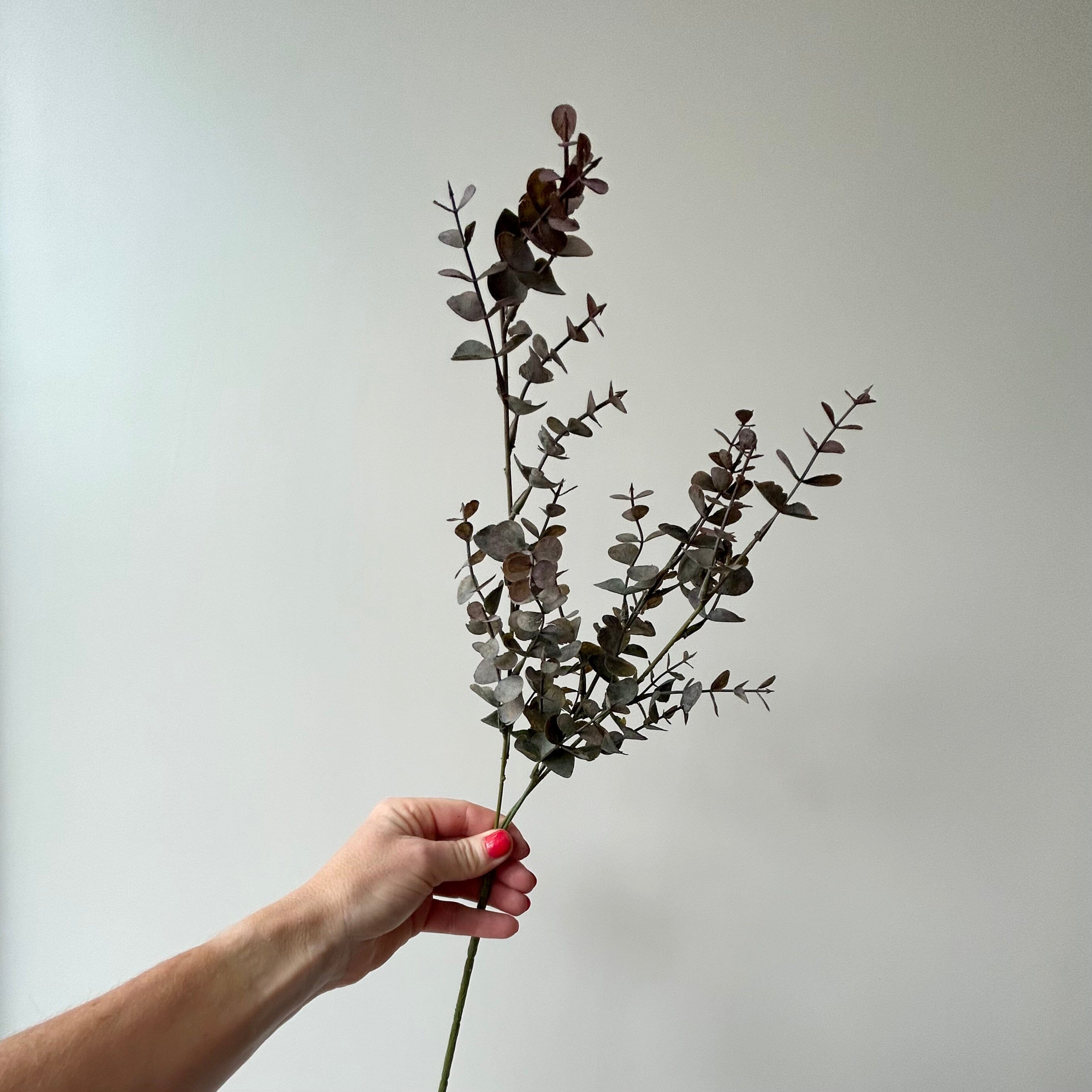 Faux Eucalyptus Plum Faux Eucalyptus Branch Henderson's