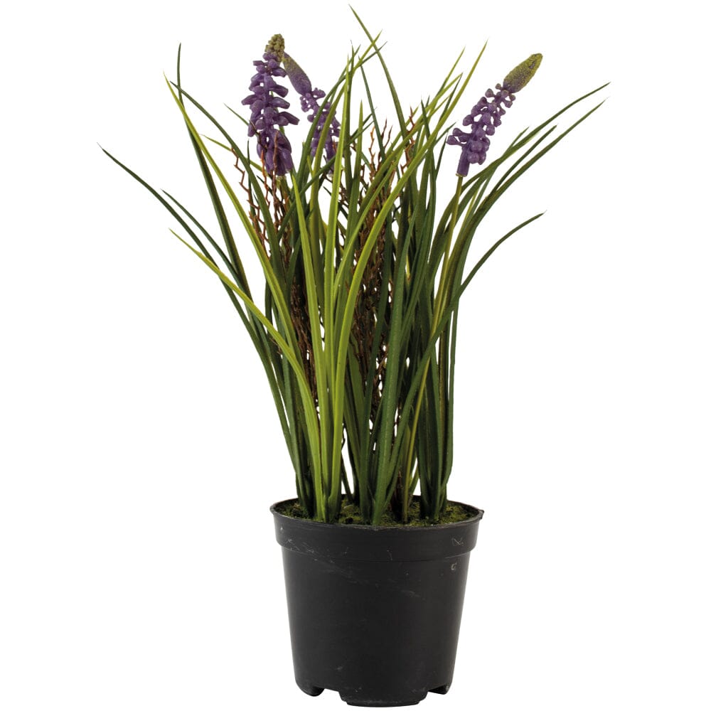 Faux Muscari Plant Faux Grape Hyacinth Plant Henderson's 