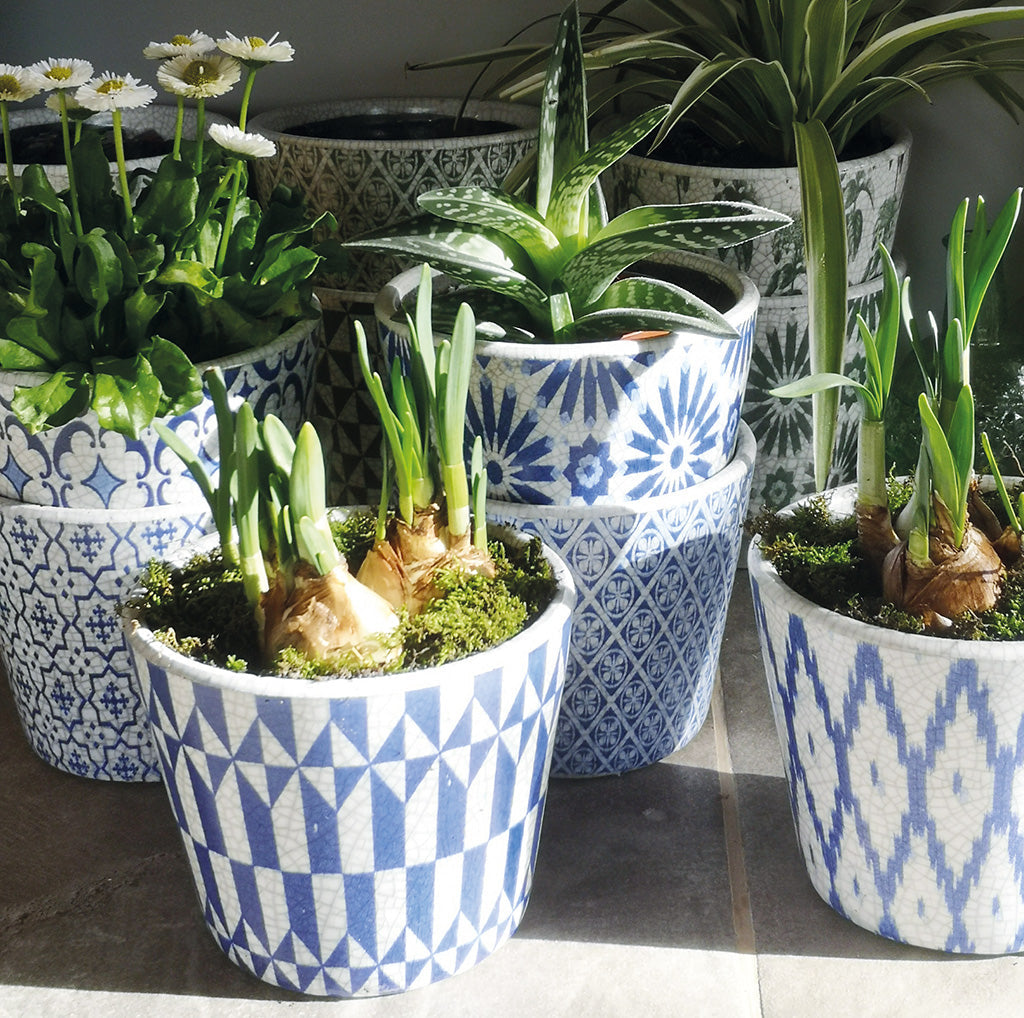 Glazed Arta Pot Plant Pot Henderson's